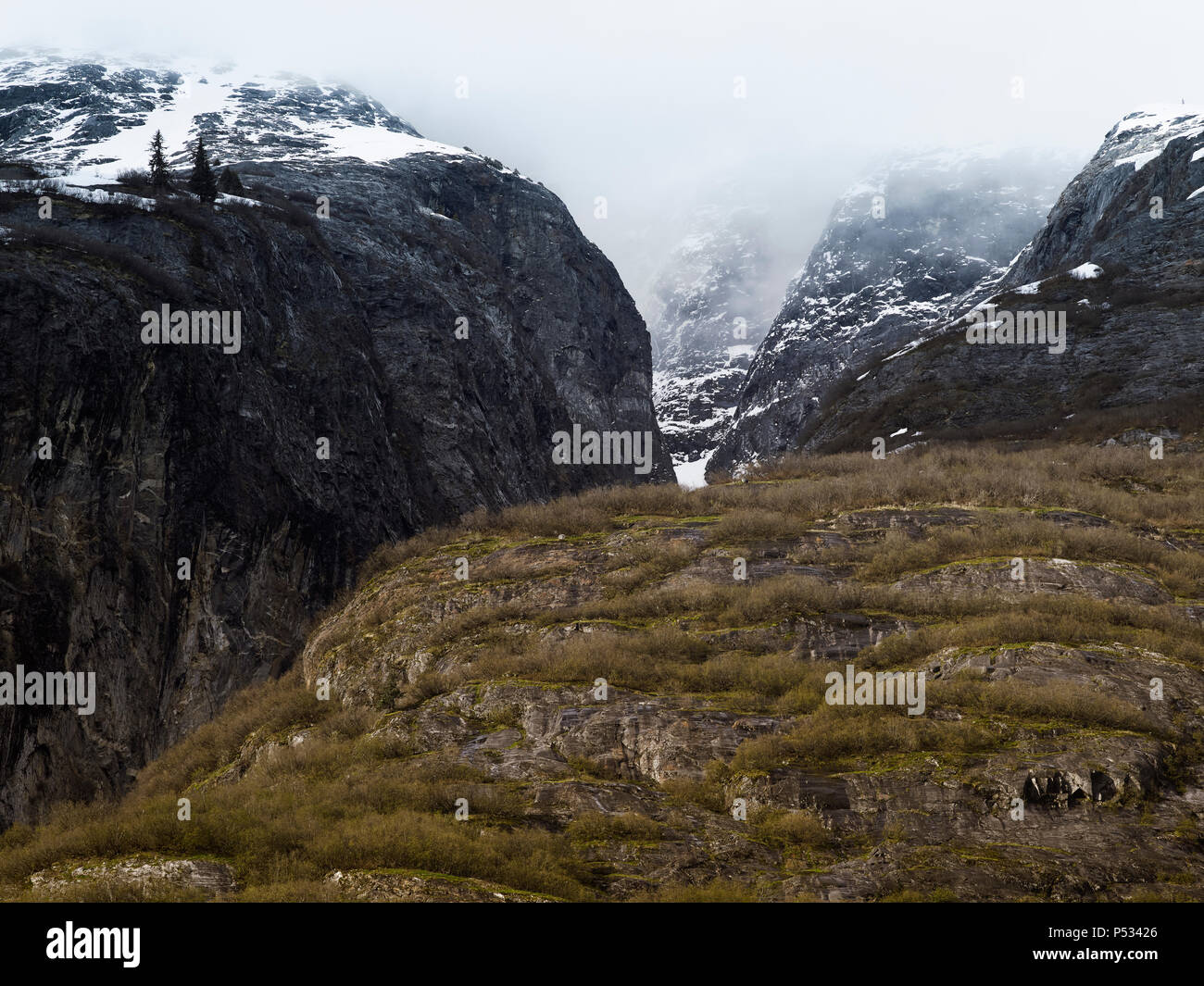 Glacially ripide scogliere levigate a Tracy Arm Fjord, a sud-est di Alaska Foto Stock