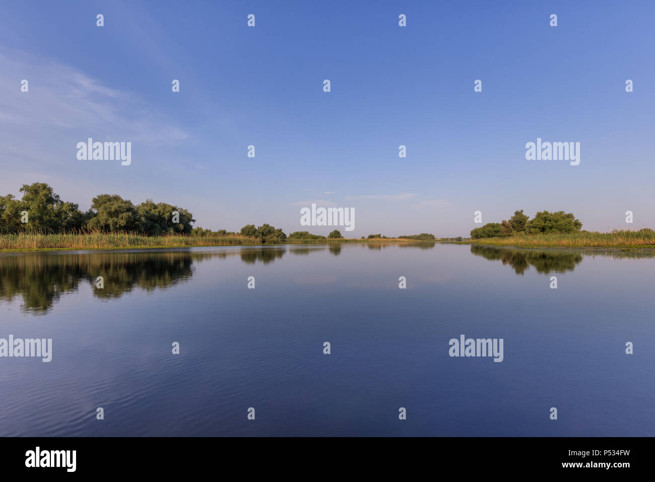 Paesaggio nel Delta del Danubio, Romania, Europa Foto Stock