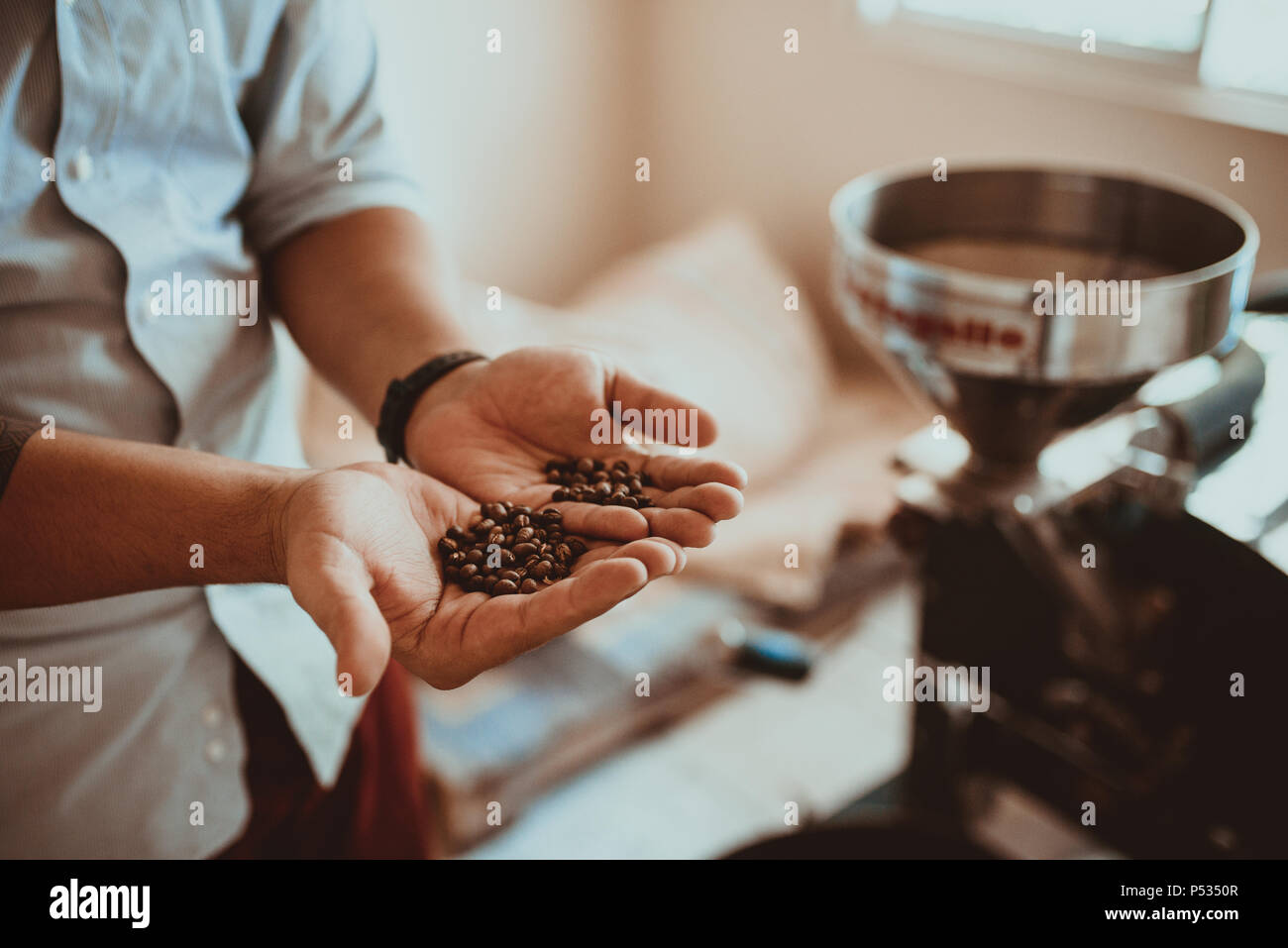 Professional la tostatura del caffè e il test con la mano in Colombia Foto Stock