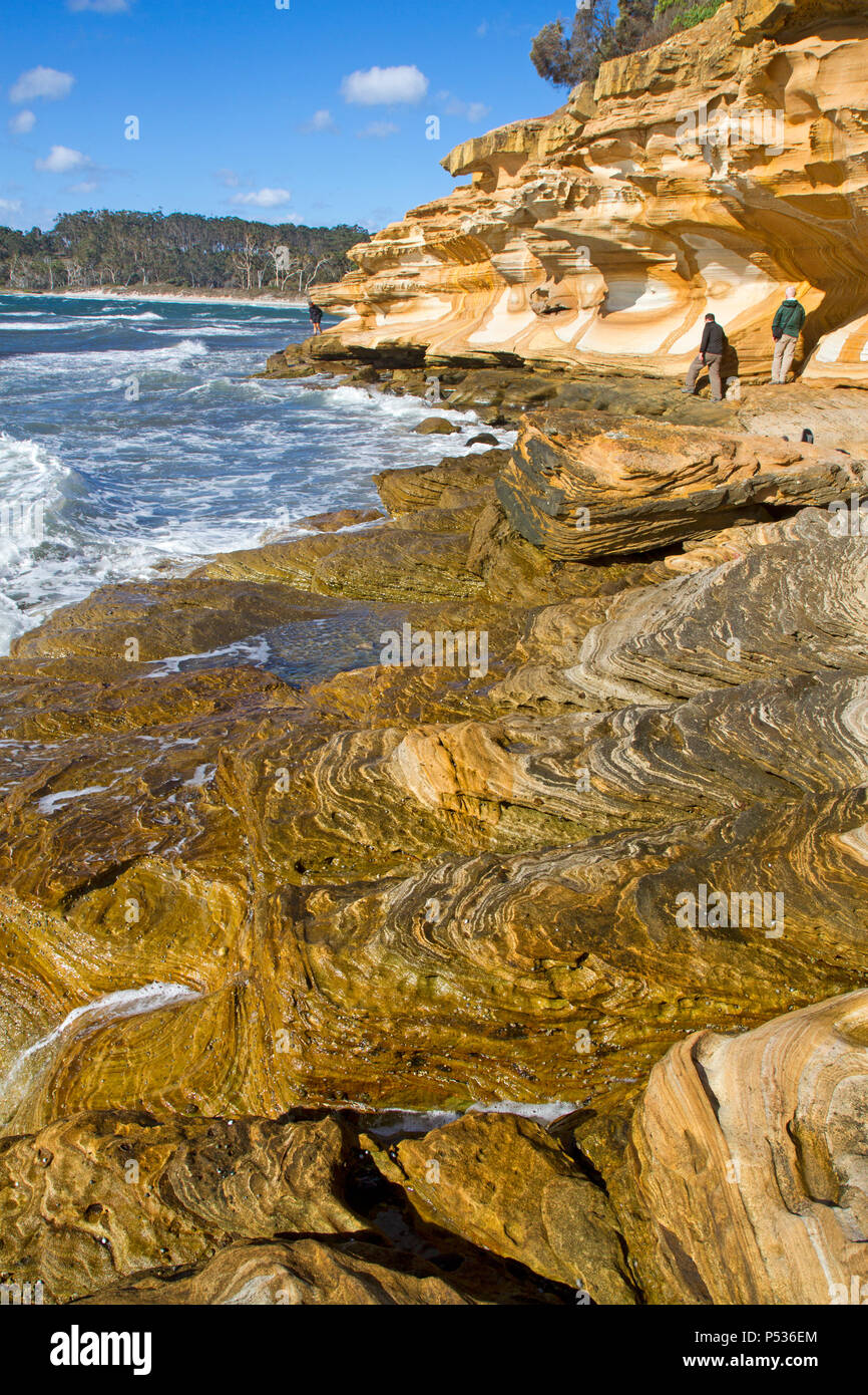 Il dipinto di scogliere su Maria Island Foto Stock