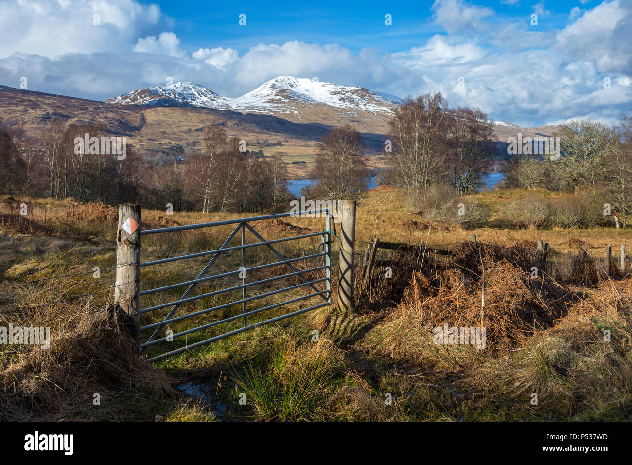 Meall Corranaich e Beinn Ghlas a sud ovest di cresta Ben Lawers, sopra Loch Tay, vicino a Killin, regione delle Highlands, Scotland, Regno Unito Foto Stock