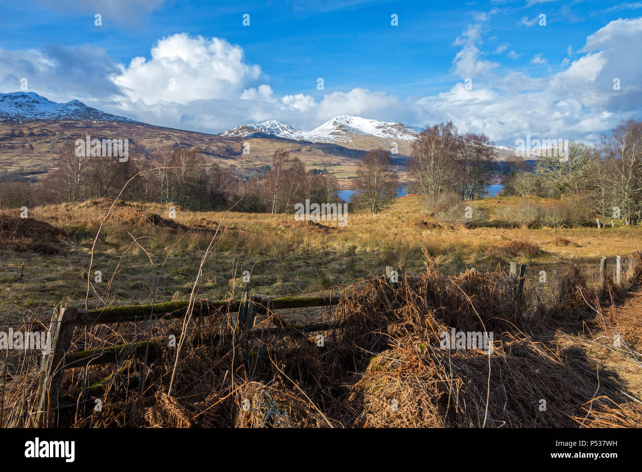 Meall Corranaich e Beinn Ghlas a sud ovest di cresta Ben Lawers, sopra Loch Tay, vicino a Killin, regione delle Highlands, Scotland, Regno Unito Foto Stock