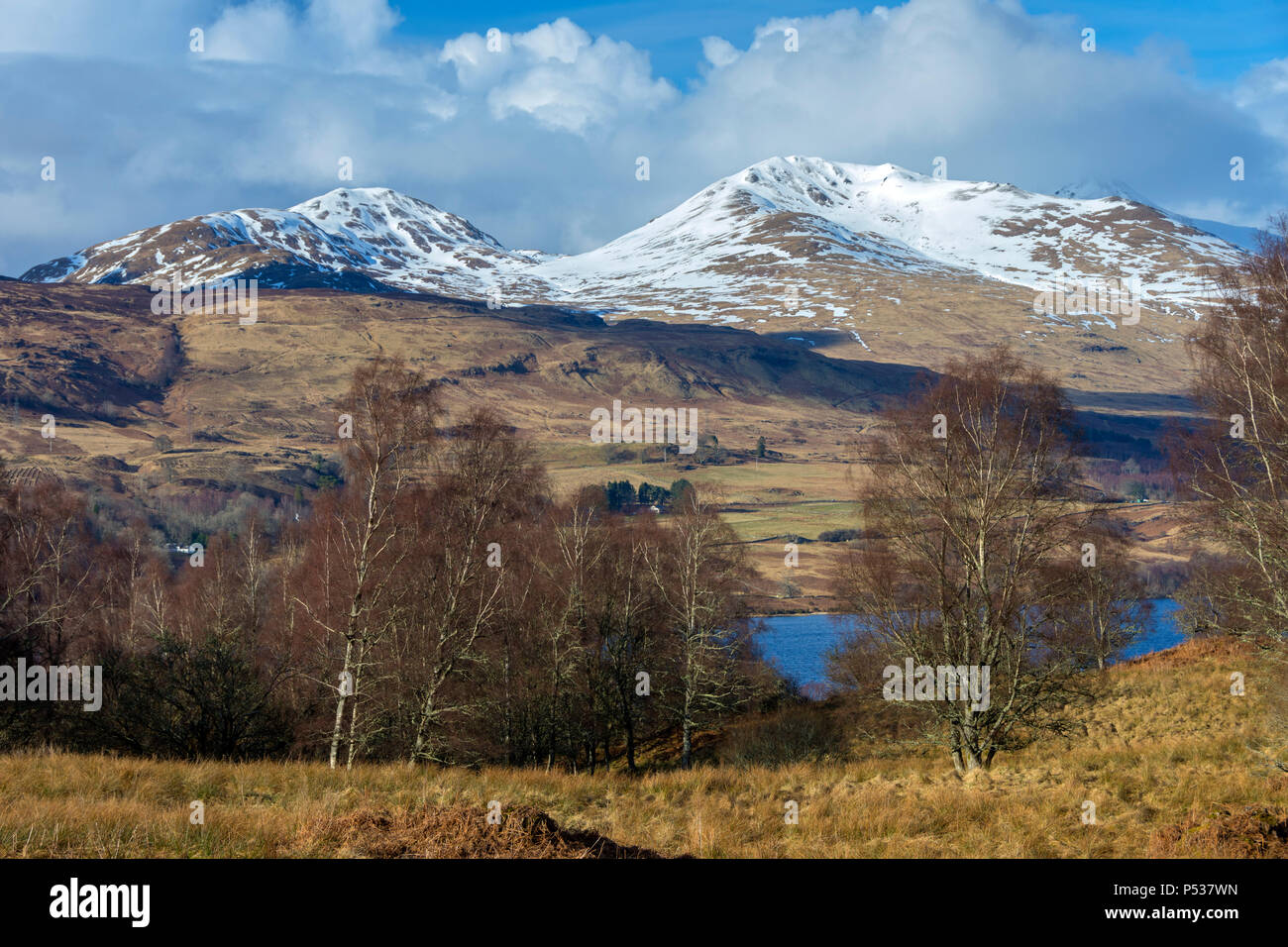 Meall Corranaich e Beinn Ghlas a sud ovest di cresta Ben Lawers, sopra Loch Tay, vicino a Killin, regione delle Highlands, Scotland, Regno Unito Foto Stock