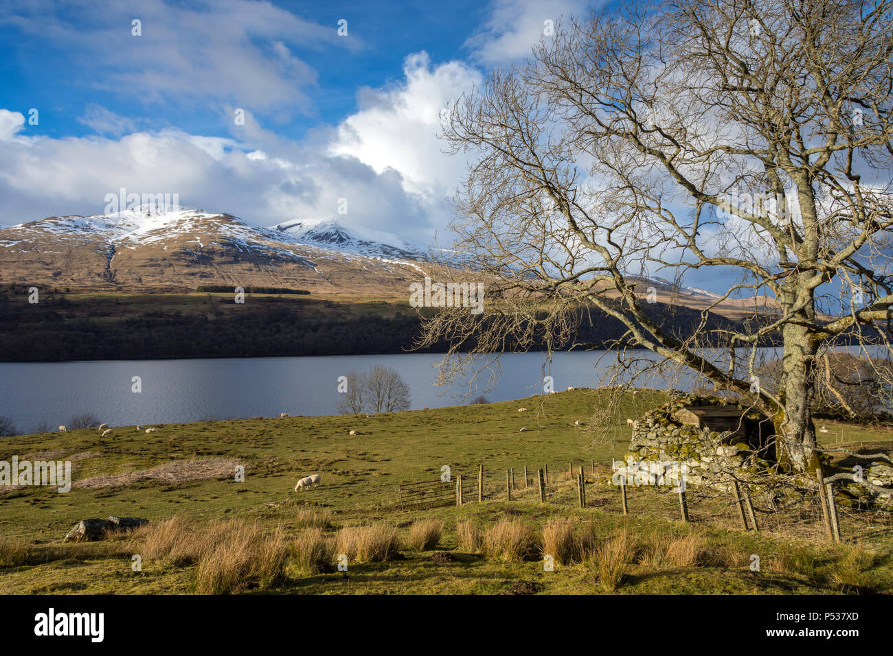 Beinn Ghlas e Ben Lawers, sopra Loch Tay, vicino a Killin, regione delle Highlands, Scotland, Regno Unito Foto Stock