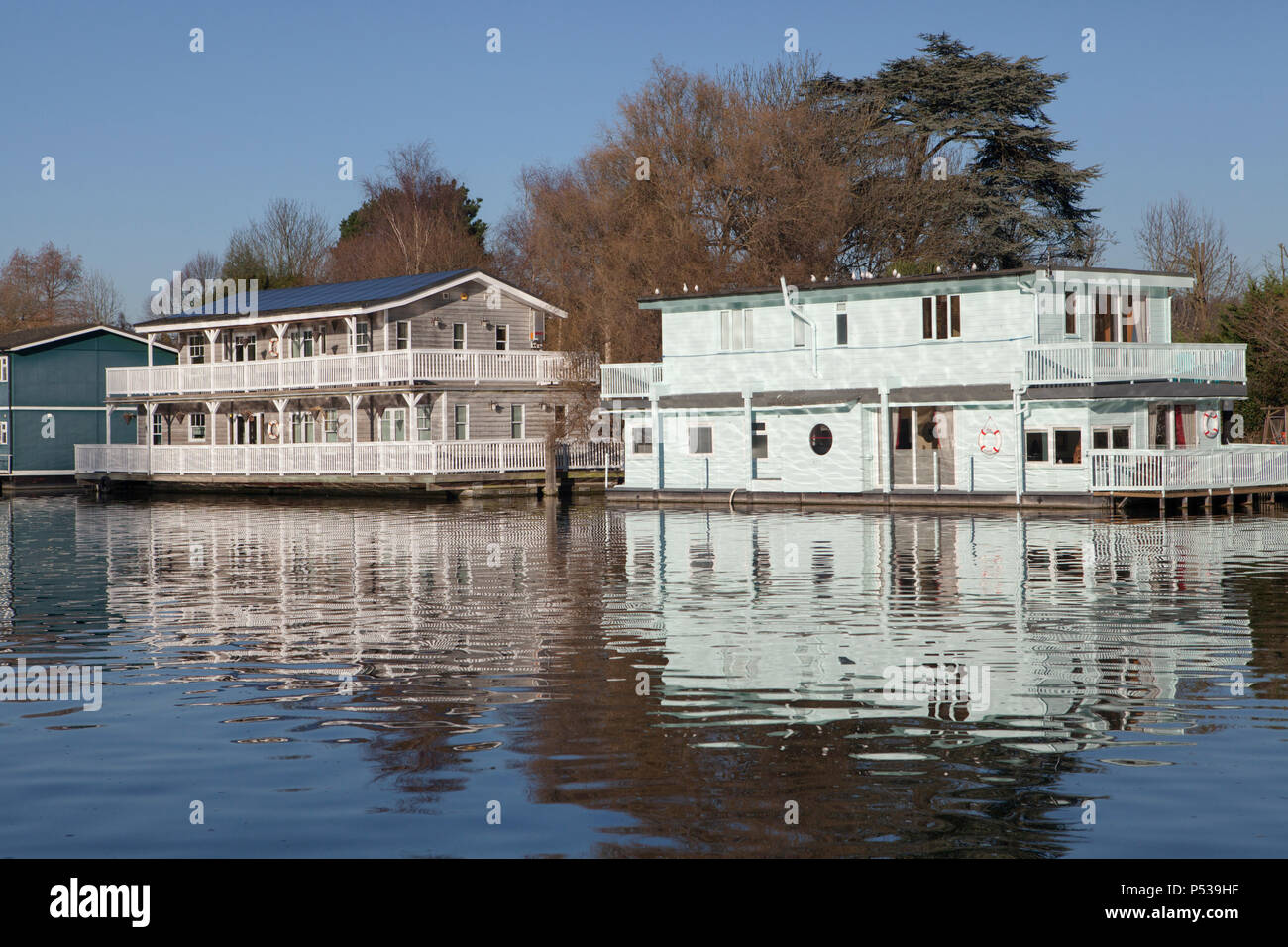 Case galleggianti ormeggiate lungo il fiume Tamigi in Walton-on-Thames vicino a Londra Foto Stock