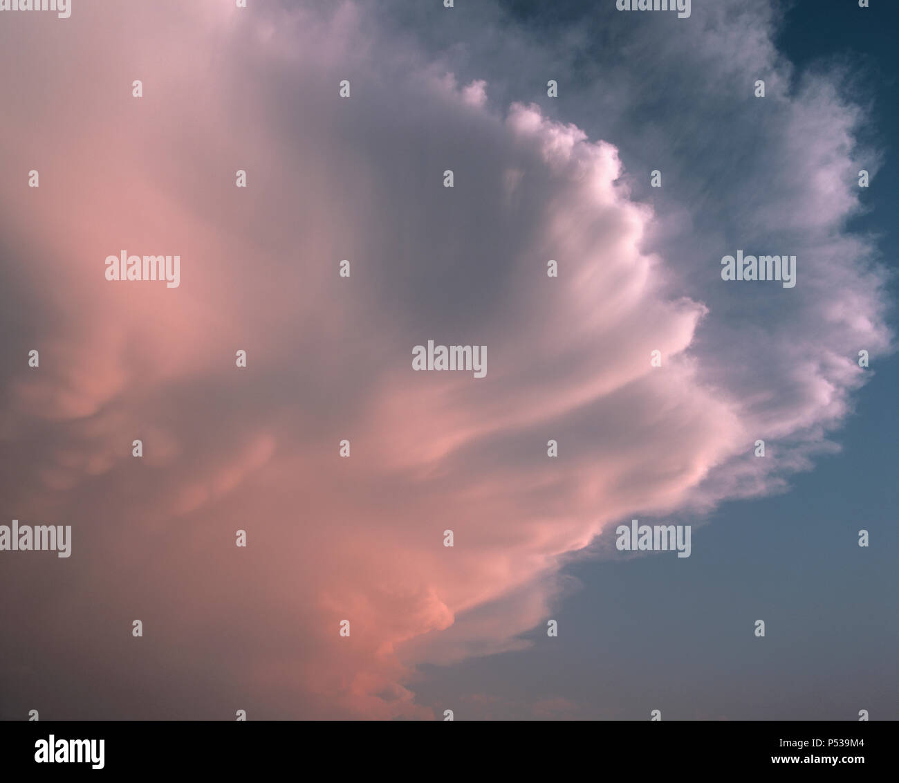 L'enorme incudine di un temporale supercell in Colorado, USA, è colorato di rosa dal sole al tramonto Foto Stock