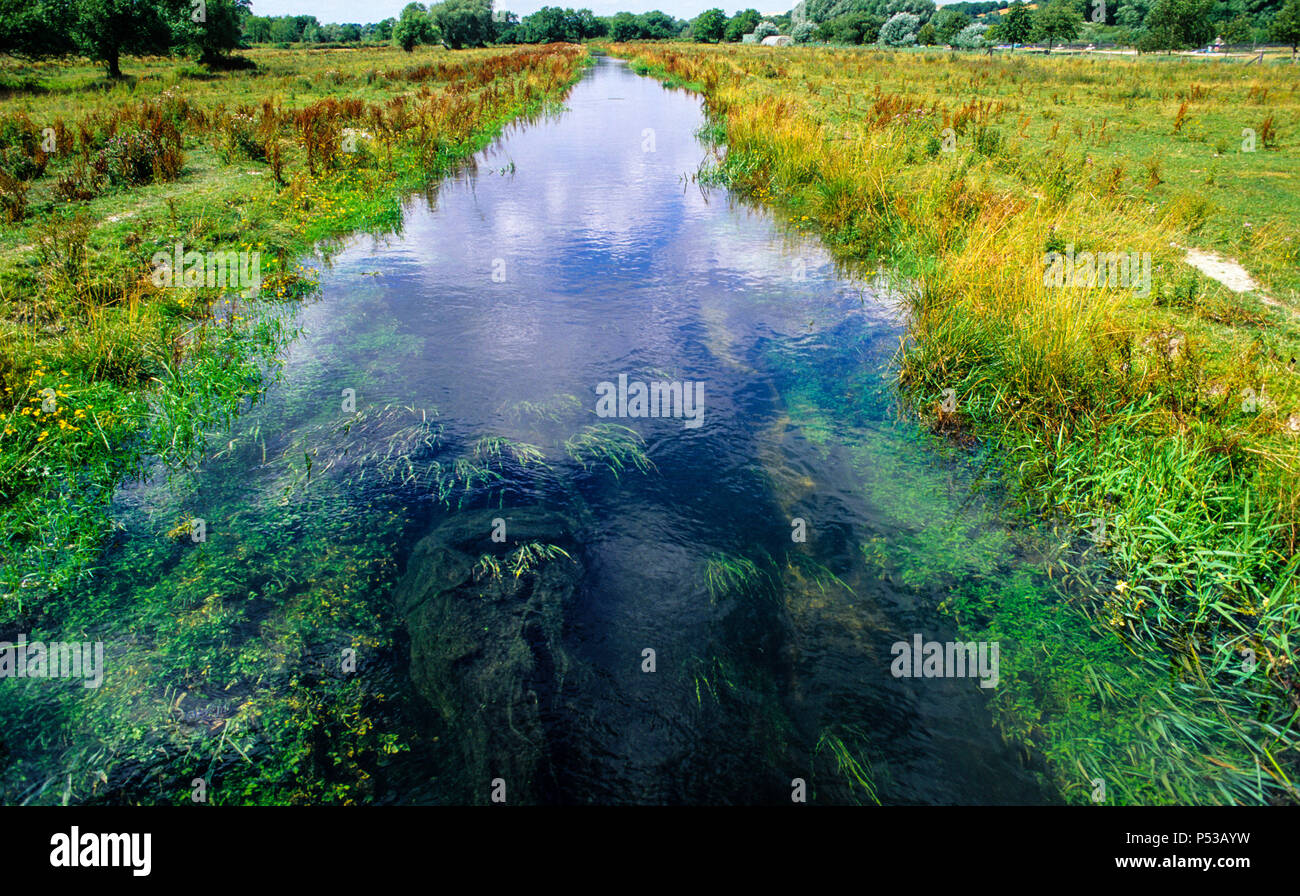 Il fiume Avon, acqua prati nr, Salisbury, Wiltshire, Inghilterra, Regno Unito, GB. Foto Stock