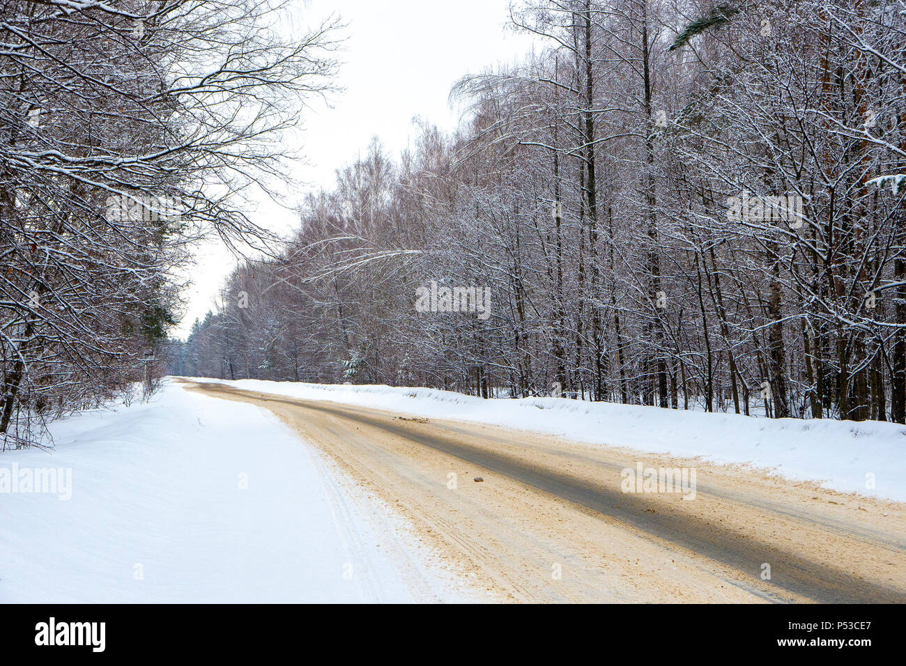 Un inverno deserta di strada nella foresta. Foto Stock