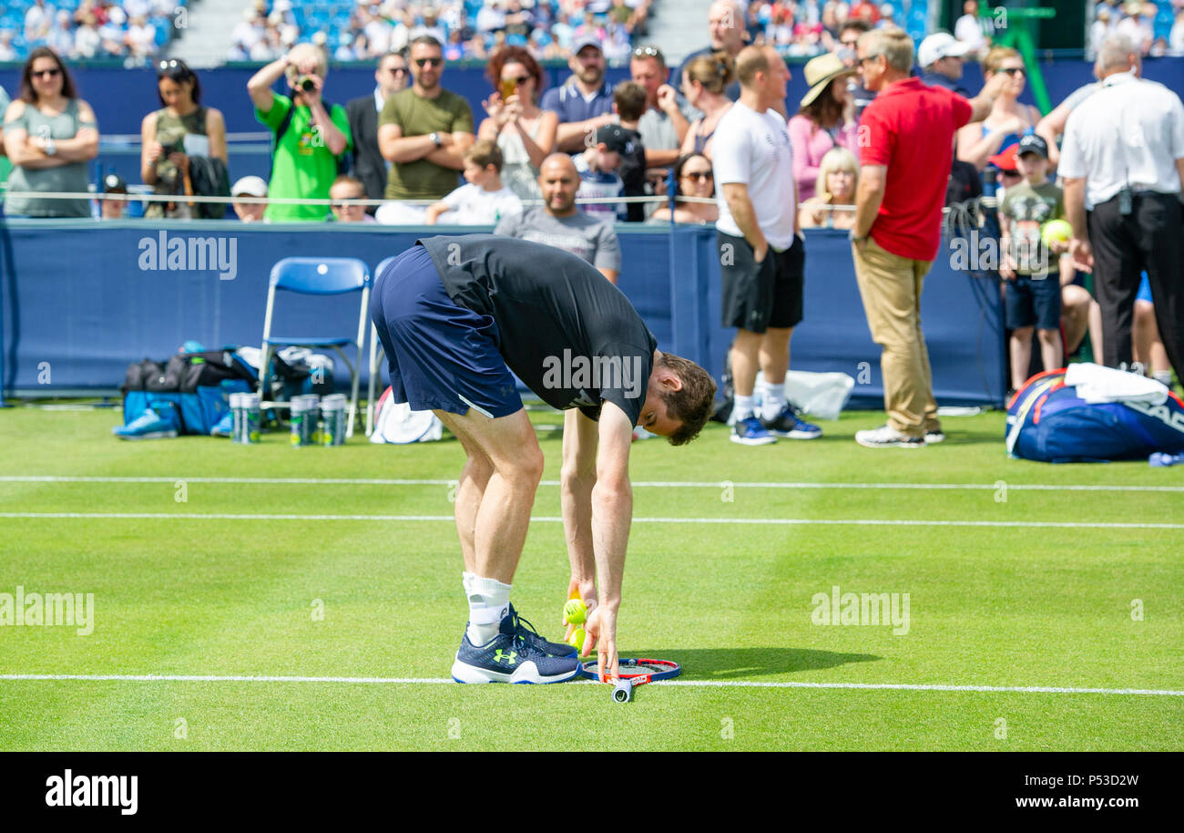 Andy Murray si allunga sulla pratica giudici durante la natura Valle torneo internazionale di tennis in Devonshire Park in Eastbourne East Sussex Regno Unito. 24 Giugno 2018 Foto Stock