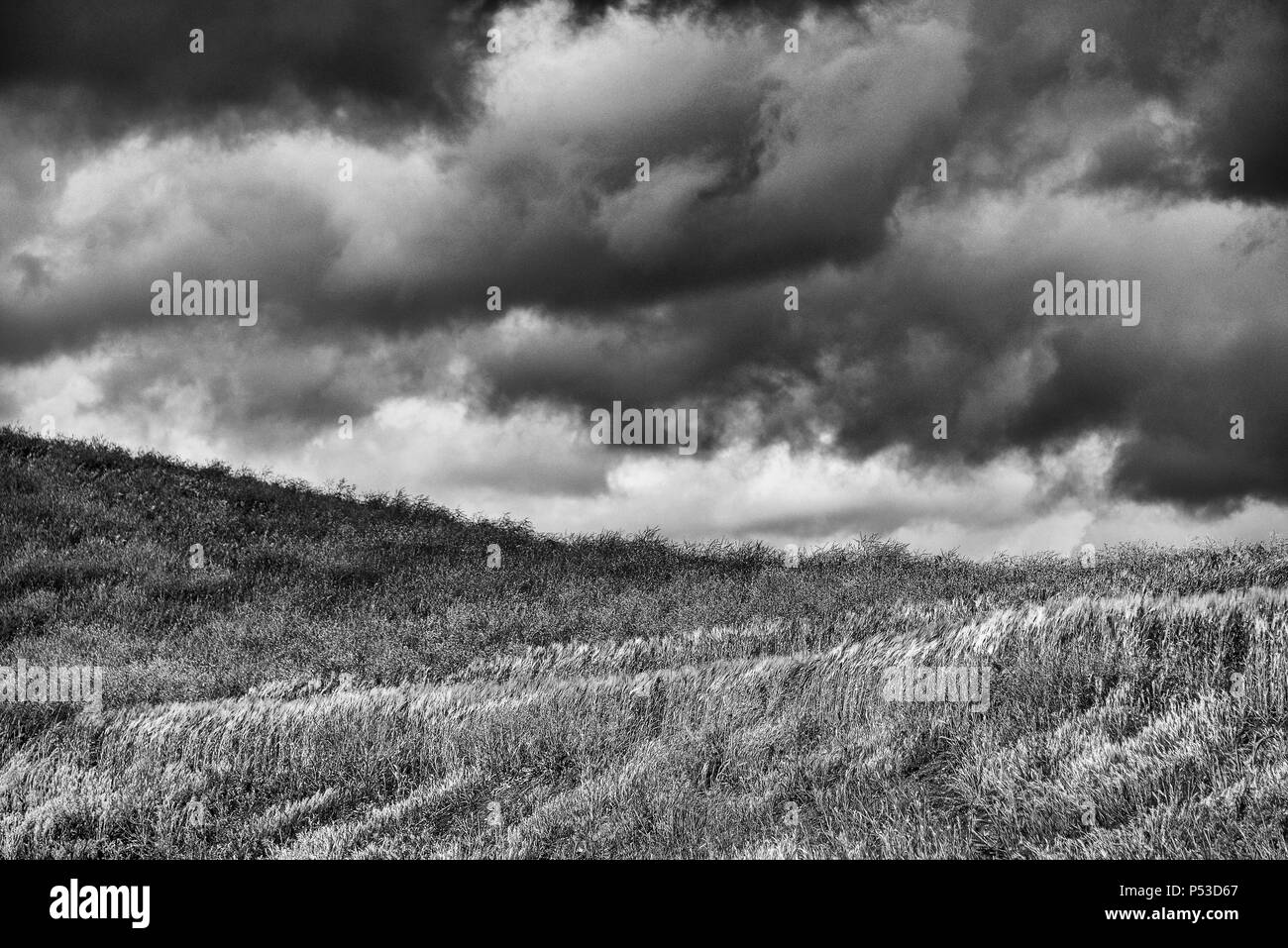 Paesaggi di campagna in Val d'Agri, Basilicata. Italia Foto Stock