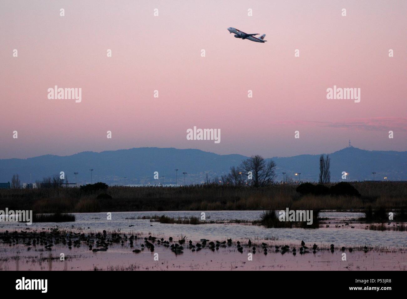 AVION DESPEGANDO al atardecer desde el aeropuerto del Prat. En Primer término el delta del Llobregat. Barcellona. Cataluña. Foto Stock