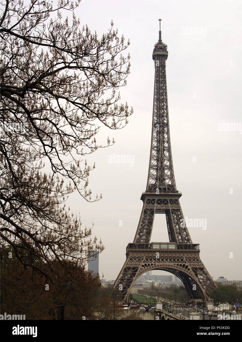La Francia. Parigi. Torre Eiffel da Gustave Eiffel (1832-1923). Torre di ferro. Foto Stock