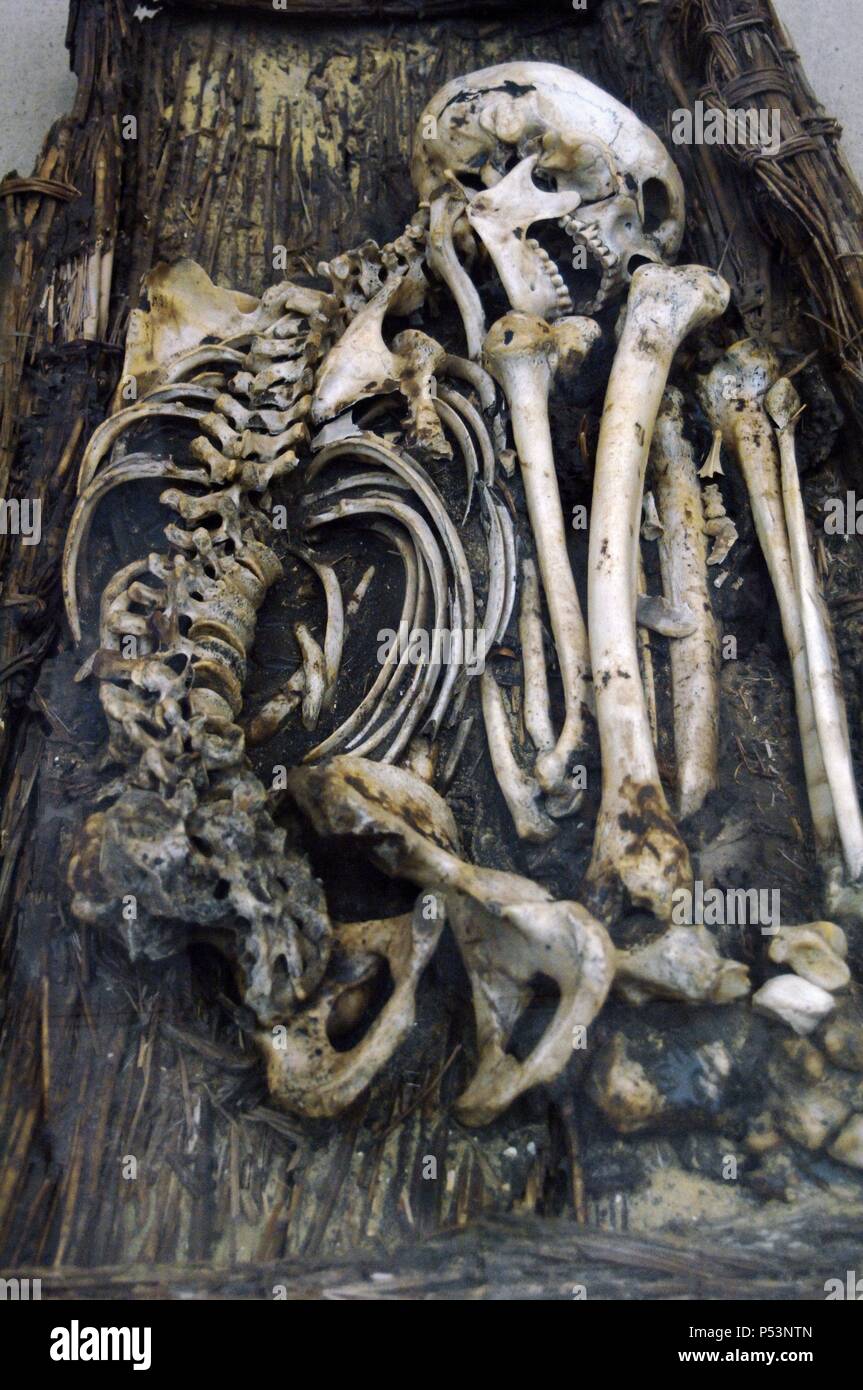 Resti umani sepolti in una bara di vimini. 3000 BC. Antico Regno o inizio periodo dinastico. Prima dinastia. Da Tarkhan. British Museum. Londra. Regno Unito. Foto Stock