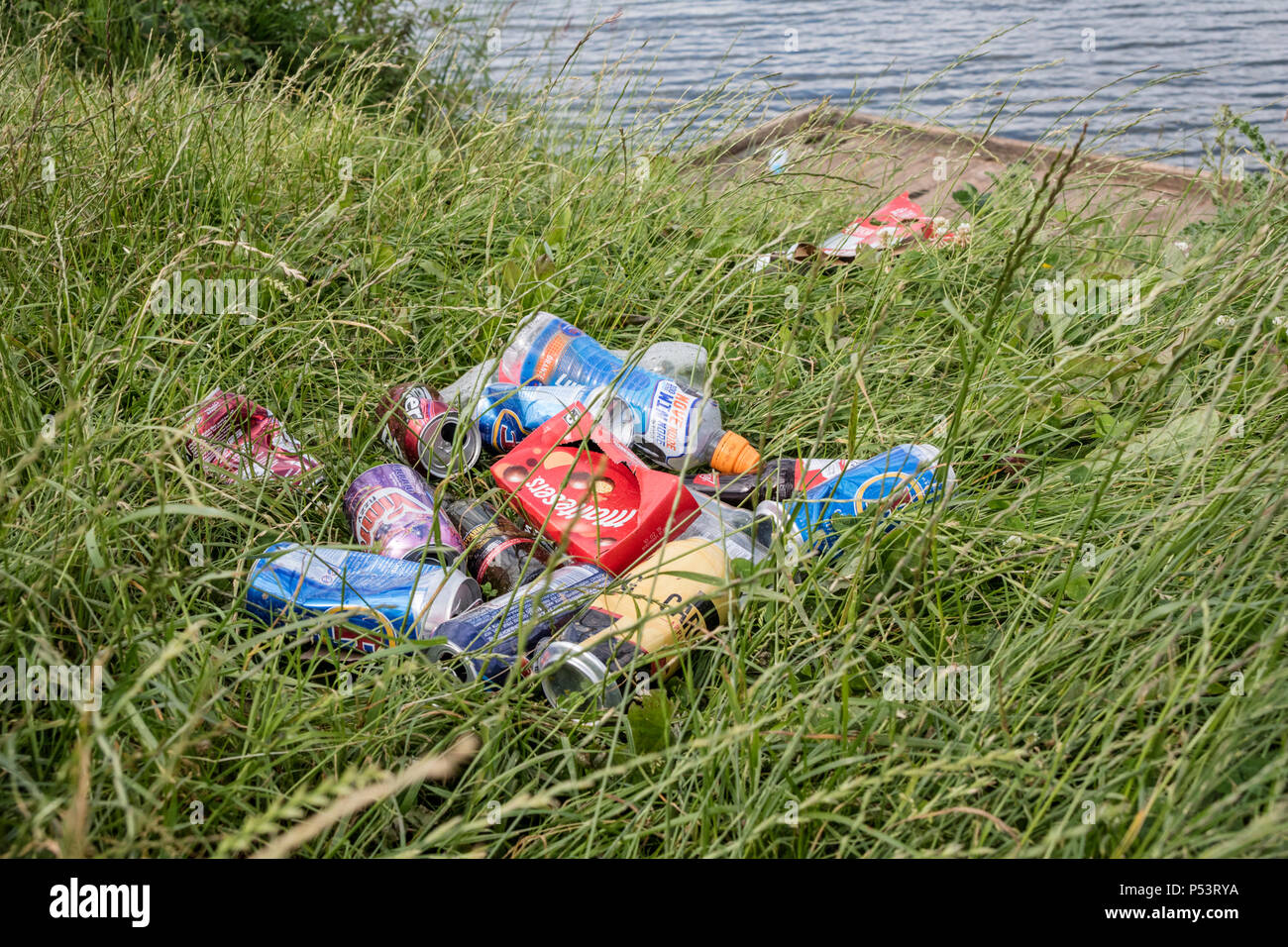 Cucciolata a sinistra da un lago nella campagna inglese, England, Regno Unito Foto Stock