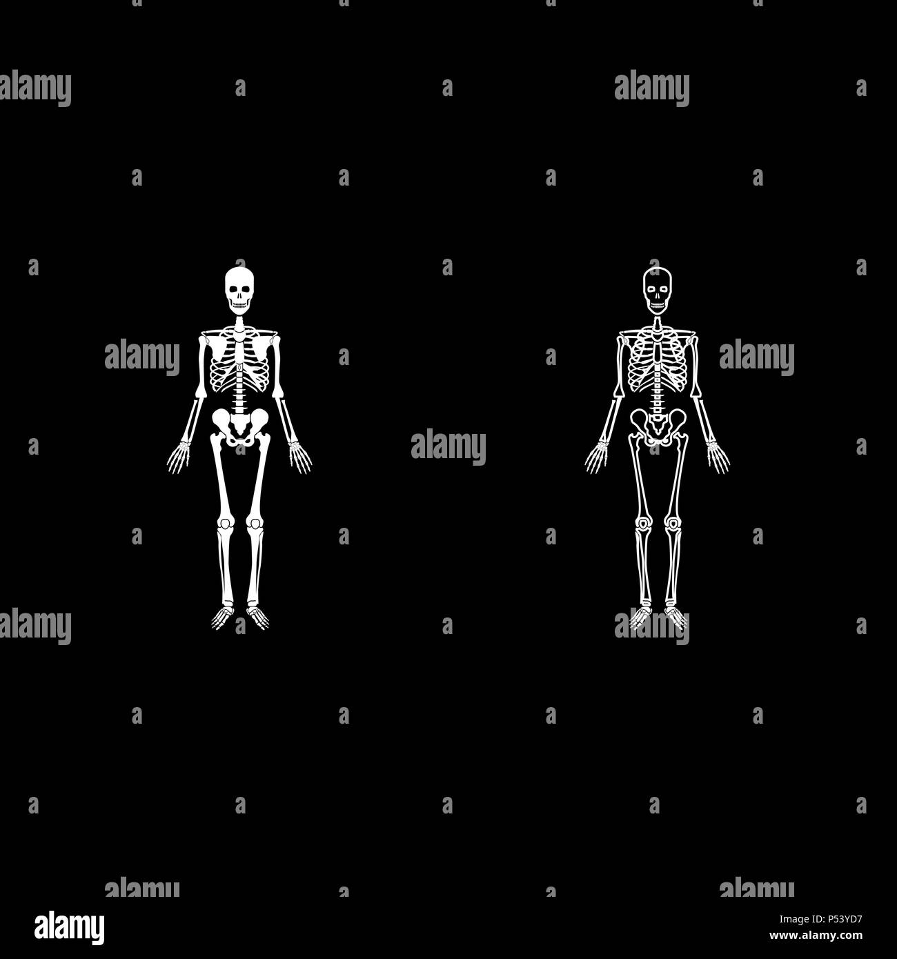 Scheletro umano il set di icone di colore bianco vettore I stile piatto semplice immagine Illustrazione Vettoriale