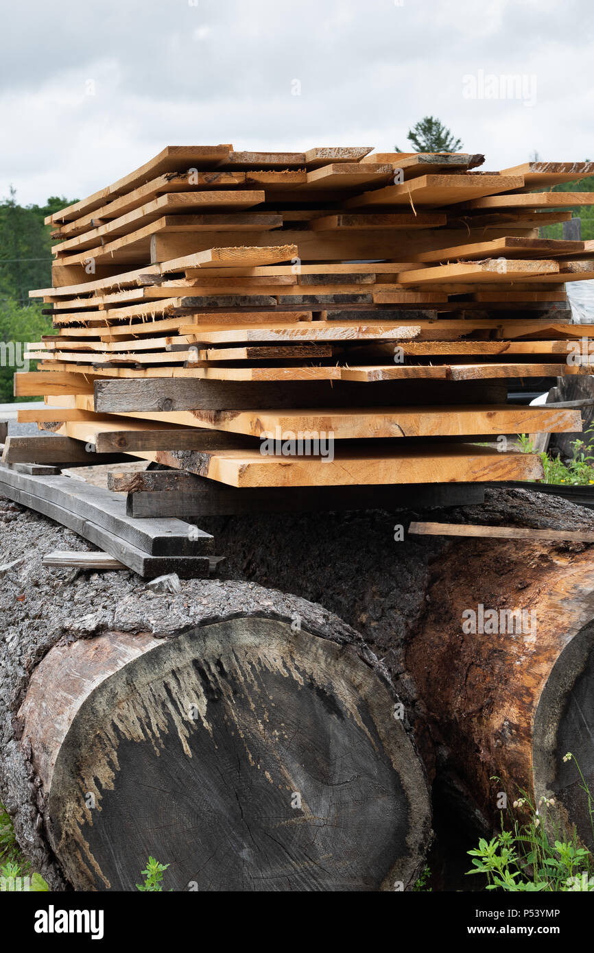 Un mucchio di Rough cut lumber essiccamento sulla parte superiore del grande pino log in una segheria nelle Montagne Adirondack, NY USA Foto Stock