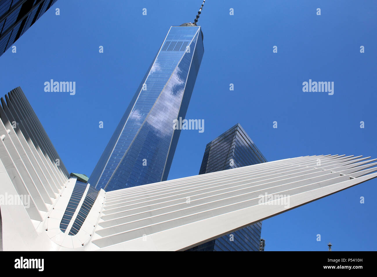 NEW YORK, NY - 28 giugno: Calatrava's occhio esterno in acciaio struttura di nervatura sovrapposto WTC1 edificio nel quartiere finanziario, Manhattan su giugno 28th, Foto Stock