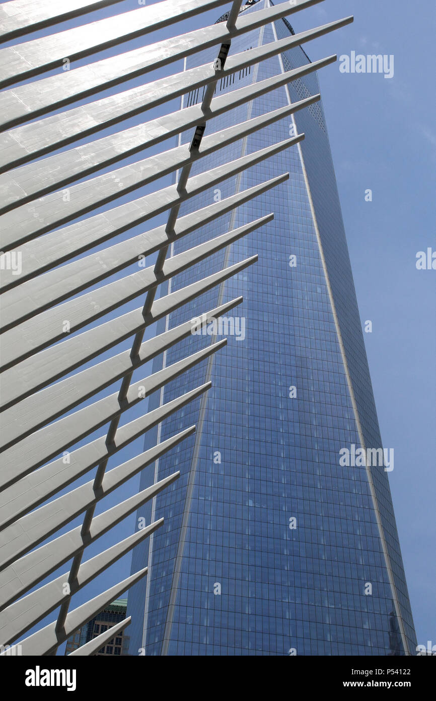 NEW YORK, NY - 29 giugno: Calatrava's occhio esterno in acciaio struttura di nervatura sovrapposto WTC1 edificio nel quartiere finanziario, Manhattan su giugno 29th, Foto Stock