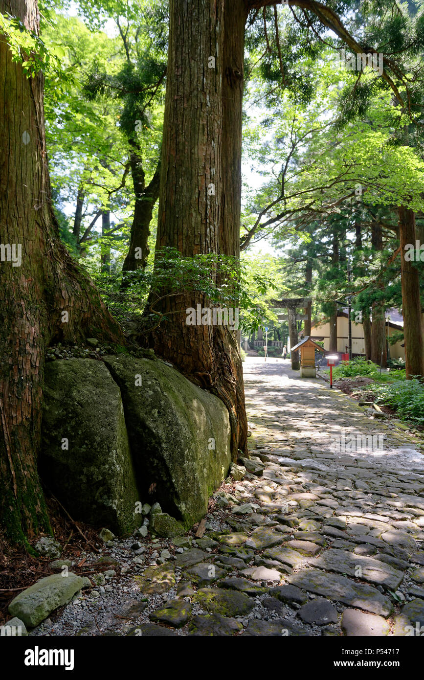 Montare Daisen, Tottori prefettura, Giappone Foto Stock