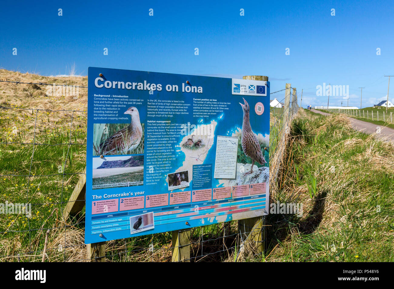 Un segno che spiega circa il re di quaglie di allevamento e di conservazione sull'isola delle Ebridi di Iona, Argyll and Bute, Scotland, Regno Unito Foto Stock