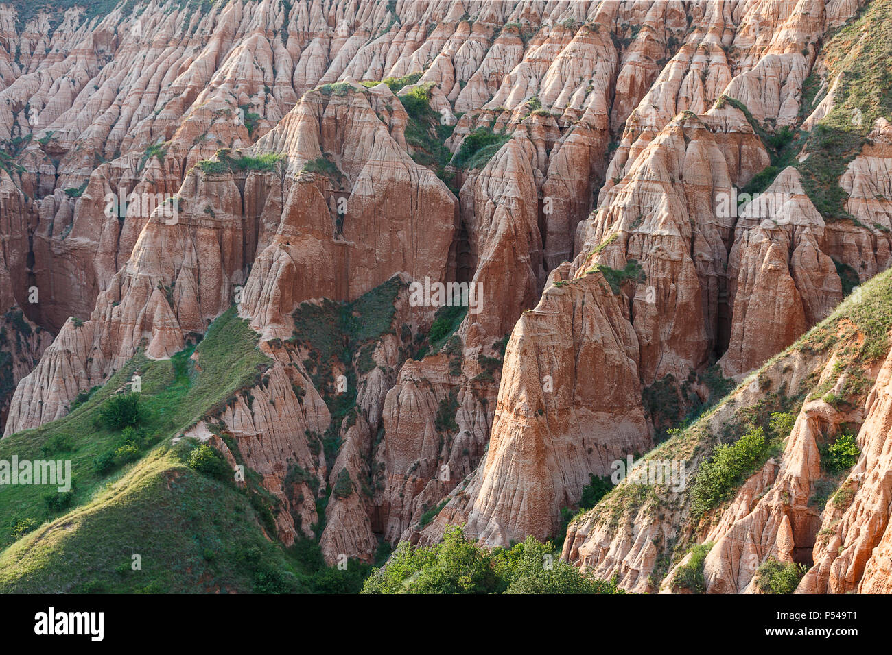 Burrone rosso area protetta e un monumento naturale, geologici e botanici di riserva in Romania Foto Stock