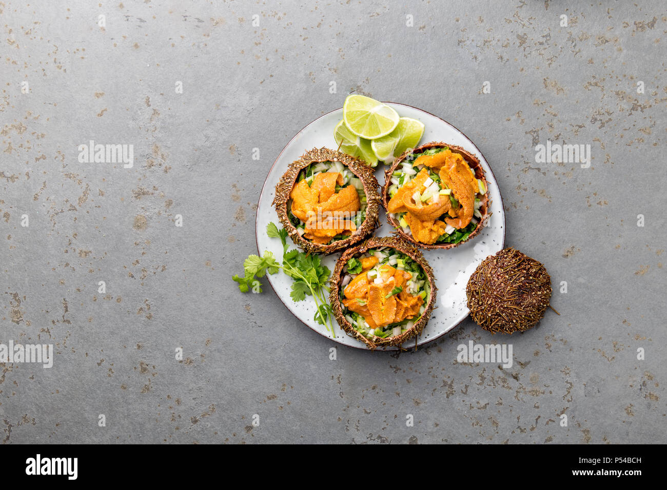 Aperto fresco ricci di mare. Il caviale di ricci di mare con cipolla, il coriandolo e il limone all'interno del guscio di ricci di mare. Vista dall'alto. Foto Stock