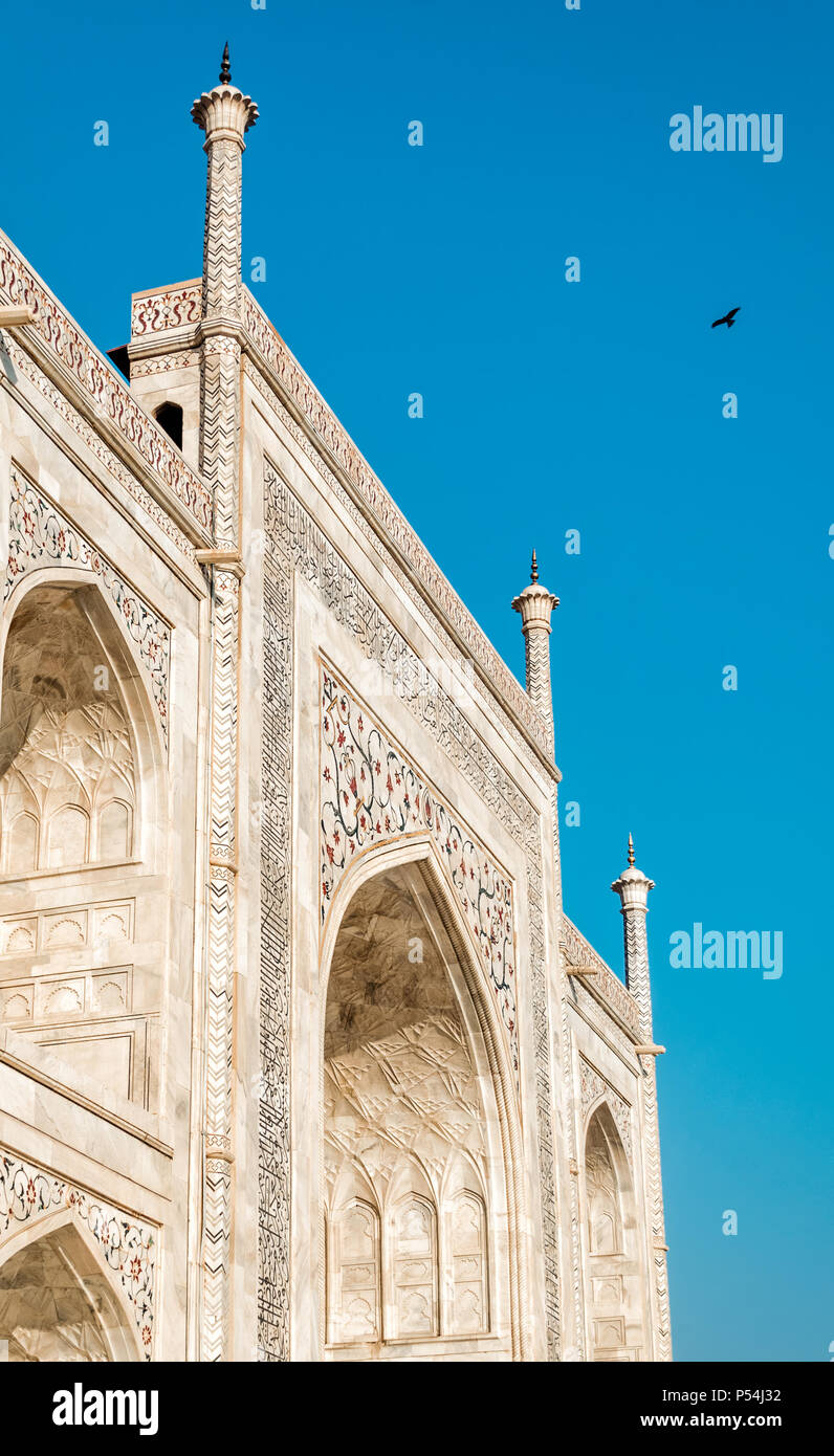 Una vista ravvicinata del Taj Mahal, Agra, India Foto Stock