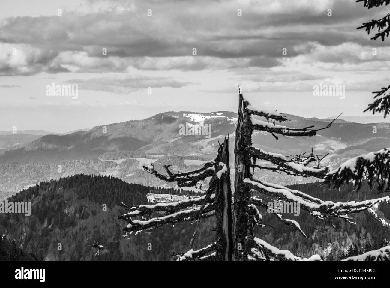 Kandel , vista dal monte Feldberg 17.02.2014 Foto Stock