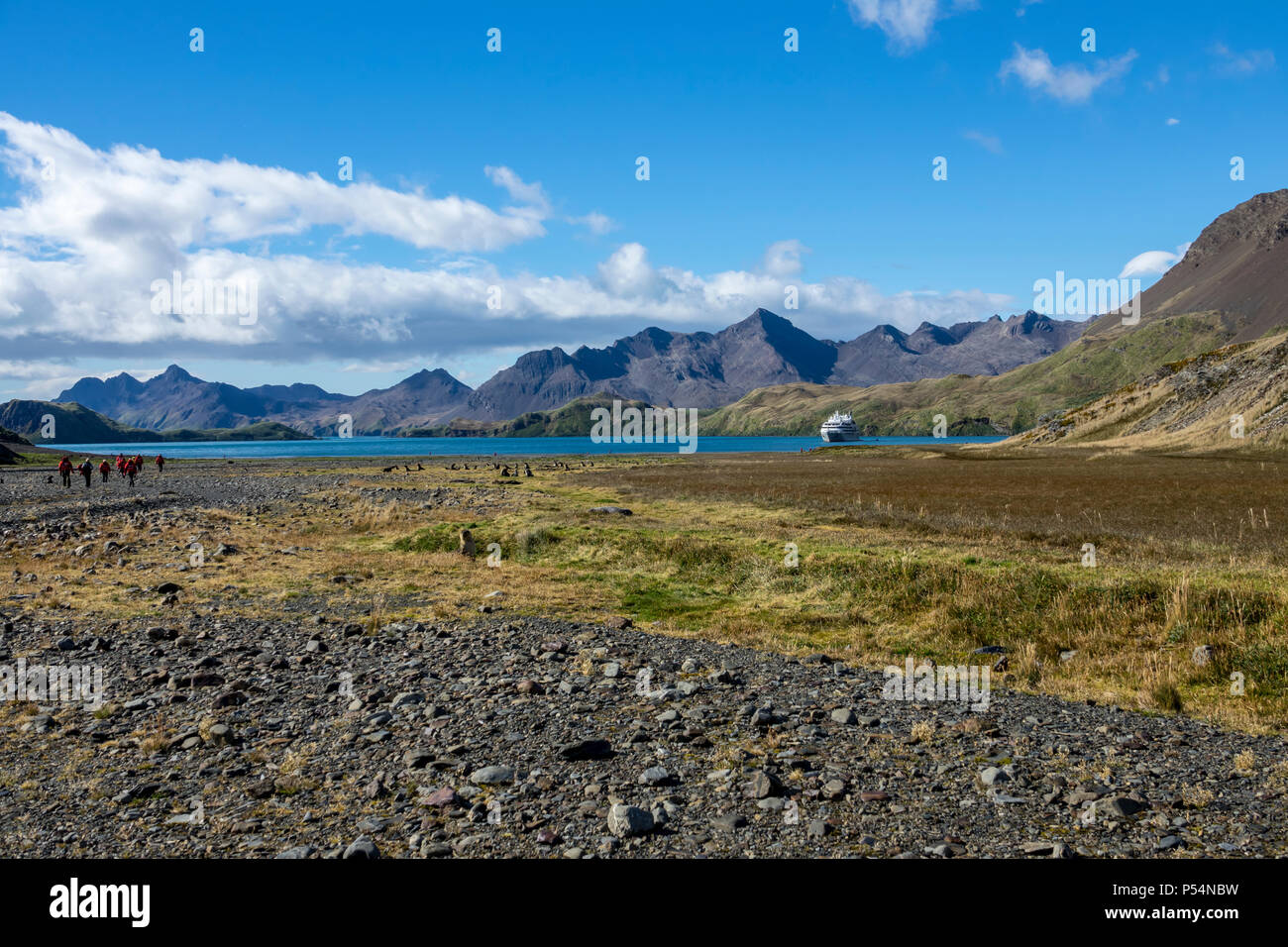 Le Lyrial nel porto di Stromness, Isola Georgia del Sud Foto Stock