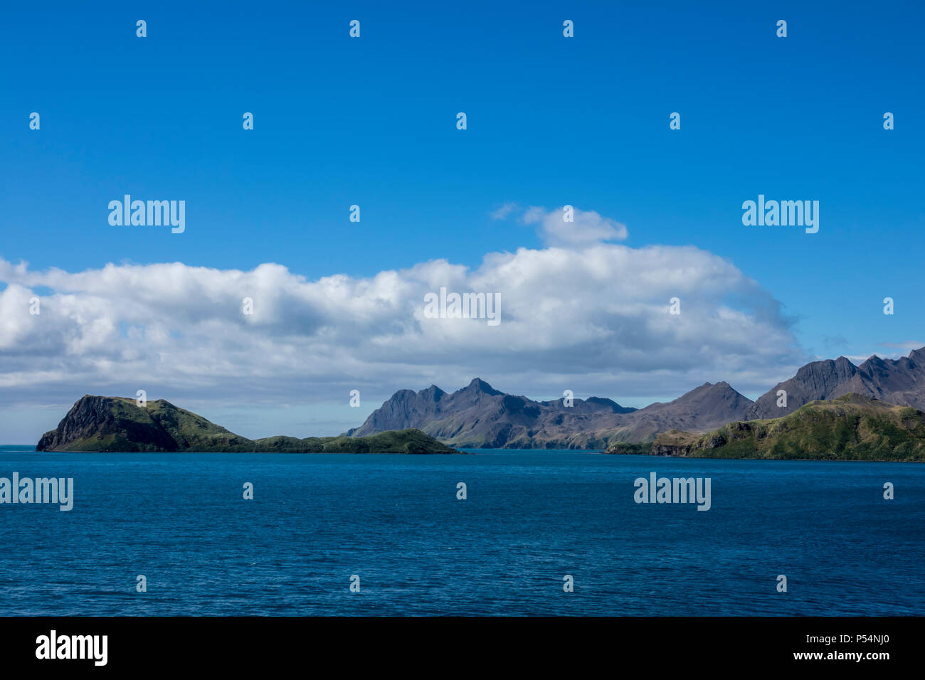 Stromness Harbour, Isola Georgia del Sud Foto Stock