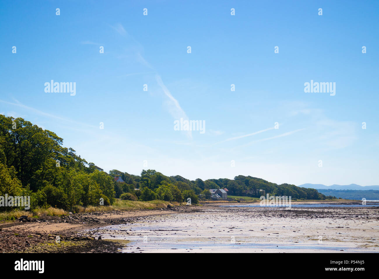 Bassa marea a Bullions vicino Torryburn Fife Scozia. Foto Stock