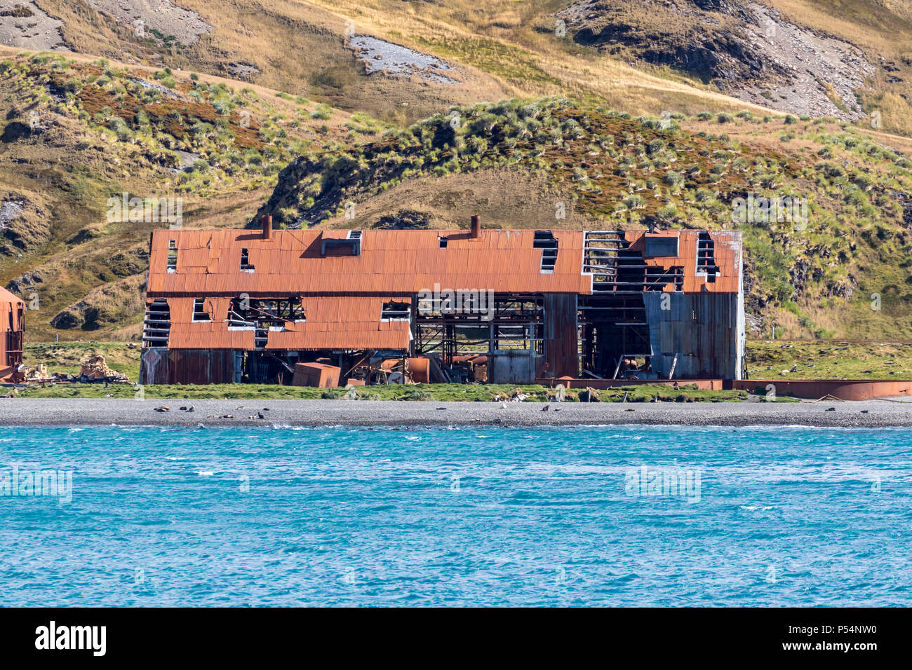 I derelitti Stromness Stazione Baleniera, Isola Georgia del Sud, i territori britannici d'oltremare Foto Stock