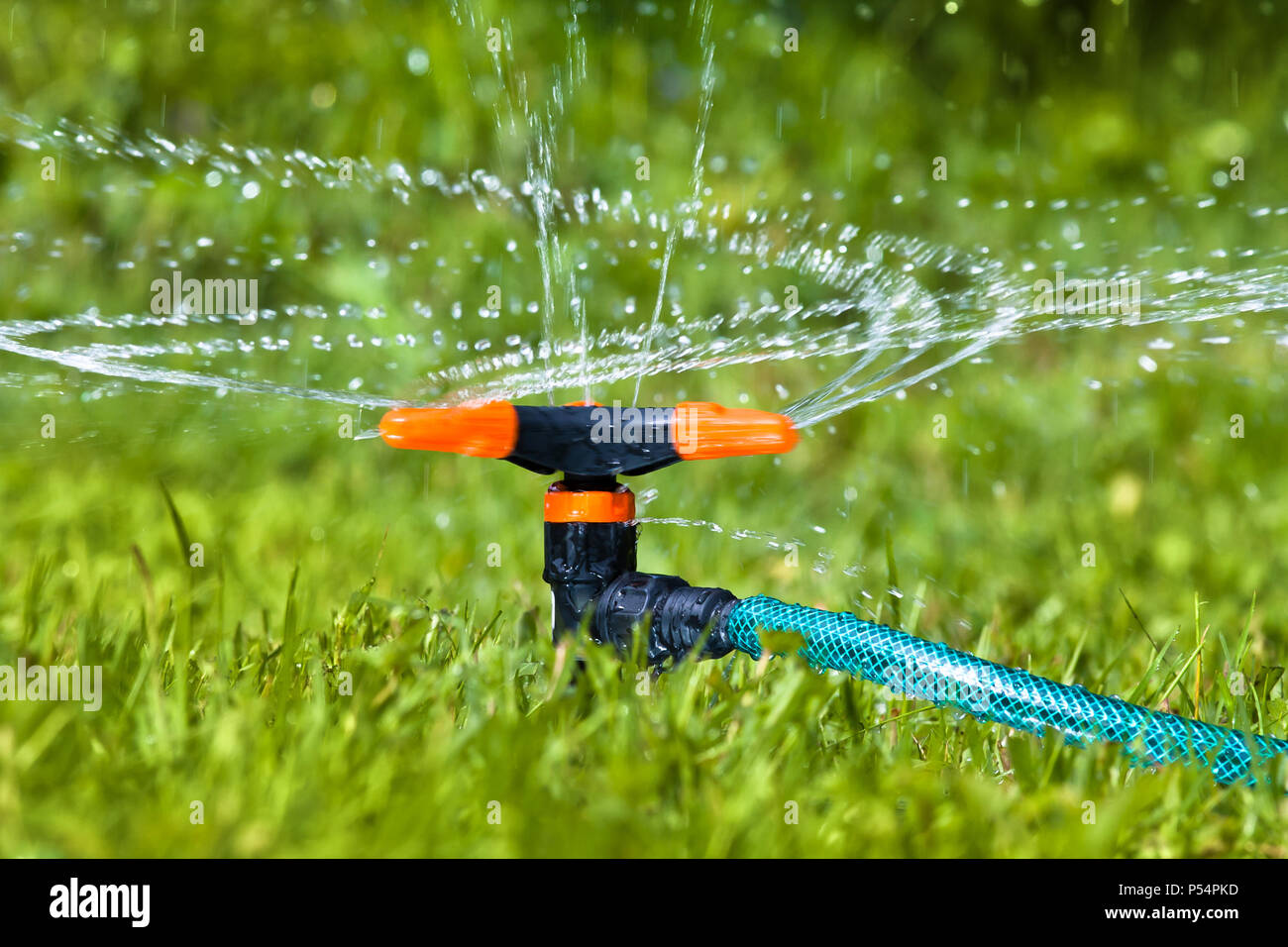 Giardino irroratore per innaffiare il prato o giardino Foto Stock