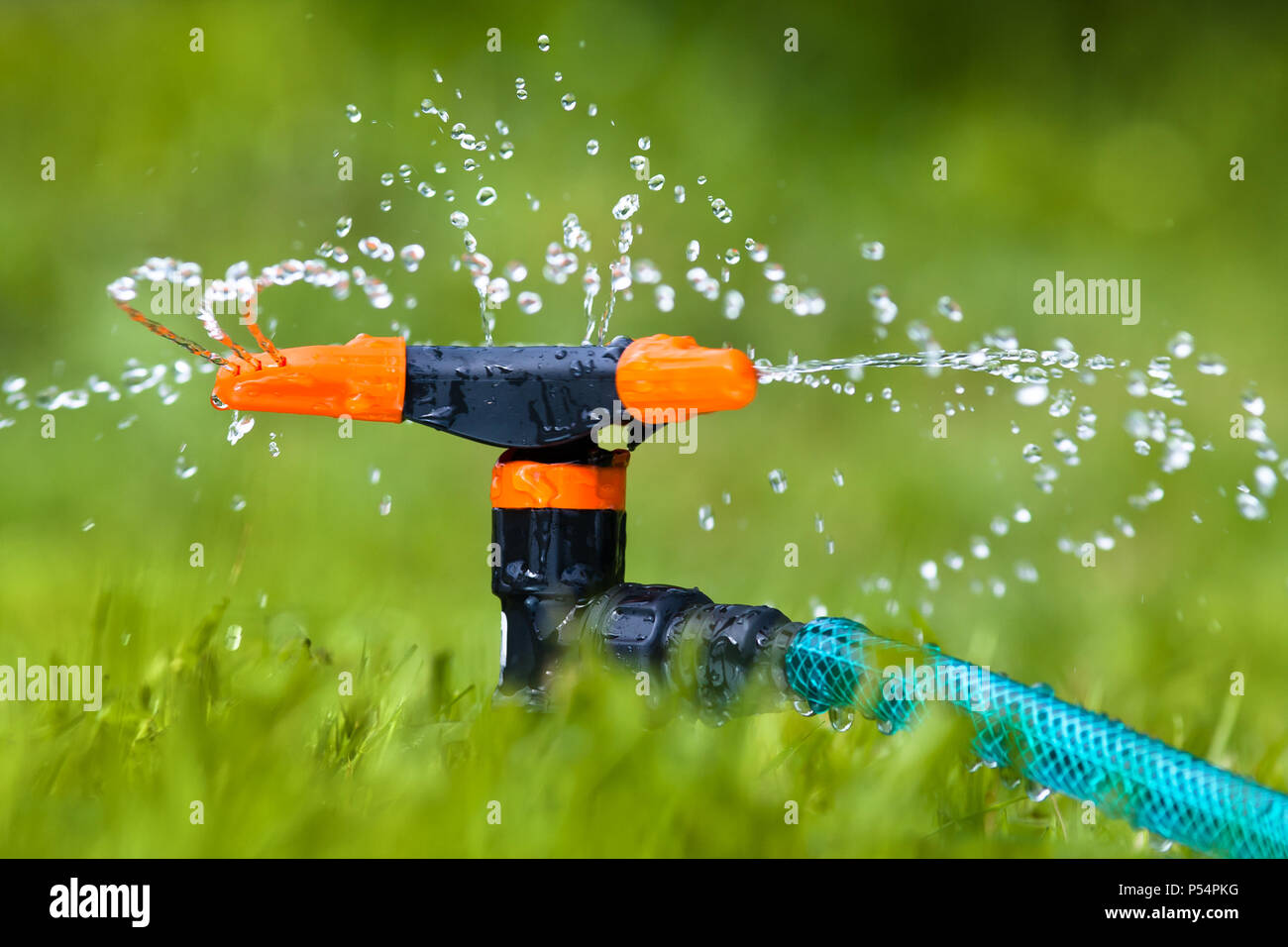 Giardino irroratore per innaffiare il prato o giardino Foto Stock