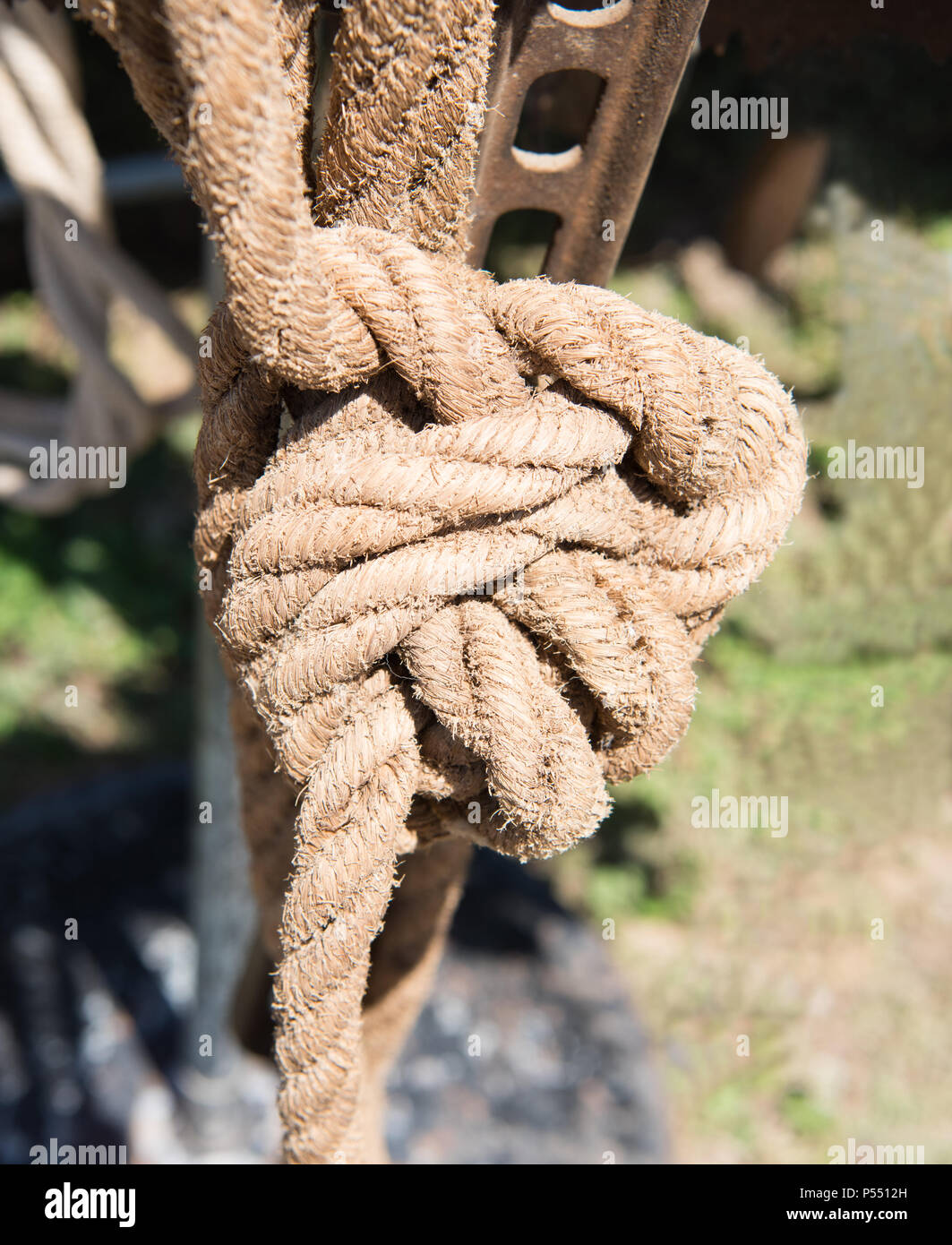Il vecchio nodo di corda Foto Stock