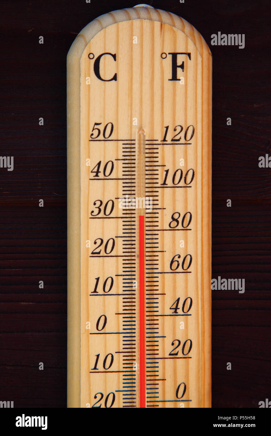 Leeds, nello Yorkshire, Regno Unito - 25 giugno 2018. Con una settimana piena di sole splendente essendo previsioni per il Regno Unito, oggi era già il raggiungimento di alte temperature all'ombra con temperature durante la pausa pranzo di colpire 30 gradi centigradi in questo giardino a Leeds. Credito: Andrew Gardner/Alamy Live News Foto Stock