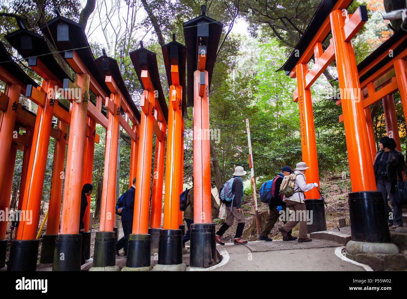 Torii gate a Fushimi Inari-Taisha santuario,Kyoto, Giappone Foto Stock