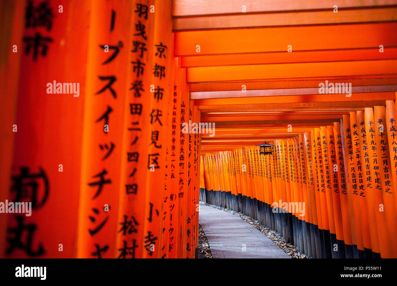 Torii gate a Fushimi Inari-Taisha santuario,Kyoto, Giappone Foto Stock