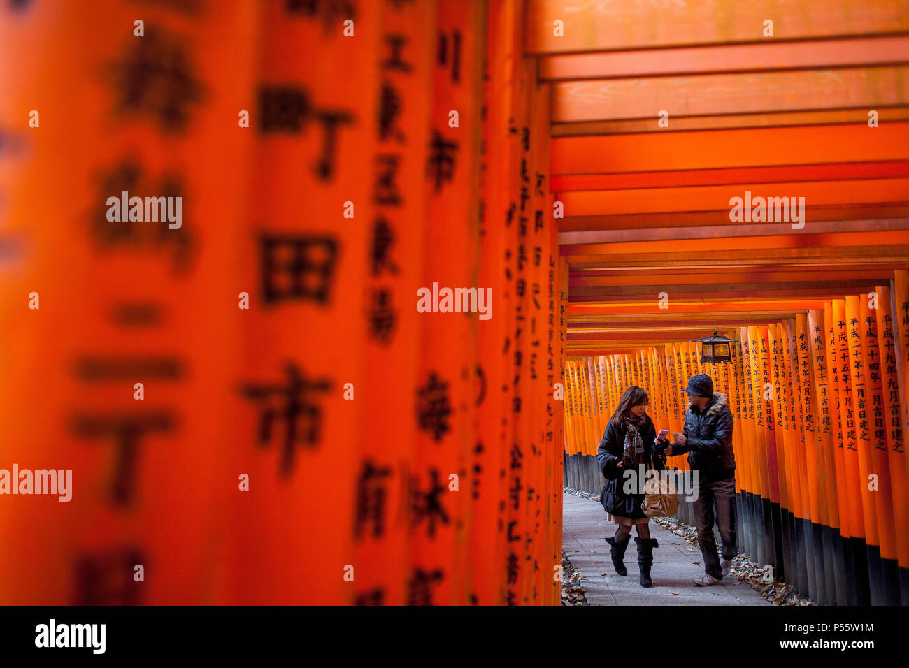 Torii gate a Fushimi Inari-Taisha santuario,Kyoto, Giappone Foto Stock