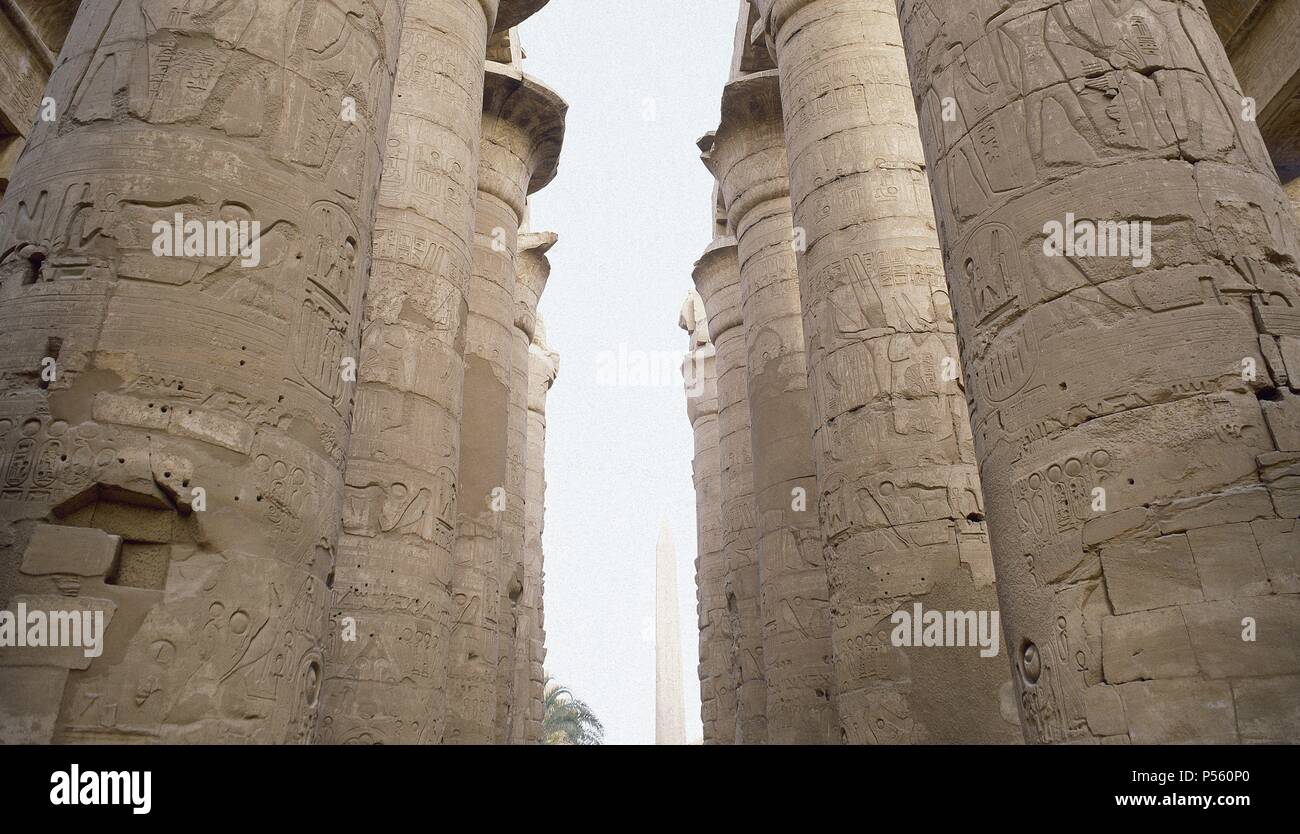 ARTE EGIPCIO. EGIPTO. TEMPLO DE AMON. Gran templo dedicado a la máxima divinidad tebana. Constituye el núcleo más ponderosa del patrimonio monumentale de Karnak. Detalle de la SALA HIPOSTILA CON COLUMNAS DE CAPITELES PAPIRIFORMES ABIERTOS. KARNAK. Foto Stock