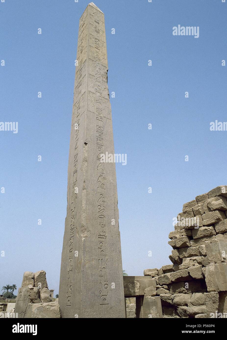 ARTE EGIPCIO. TEMPLO DE AMON. Gran templo dedicado a la máxima divinidad tebana. Constituye el núcleo más ponderosa del patrimonio monumentale de Karnak. Vista de uno de los OBELISCOS DE TUTMOSIS I. Karnak. Egipto. Foto Stock