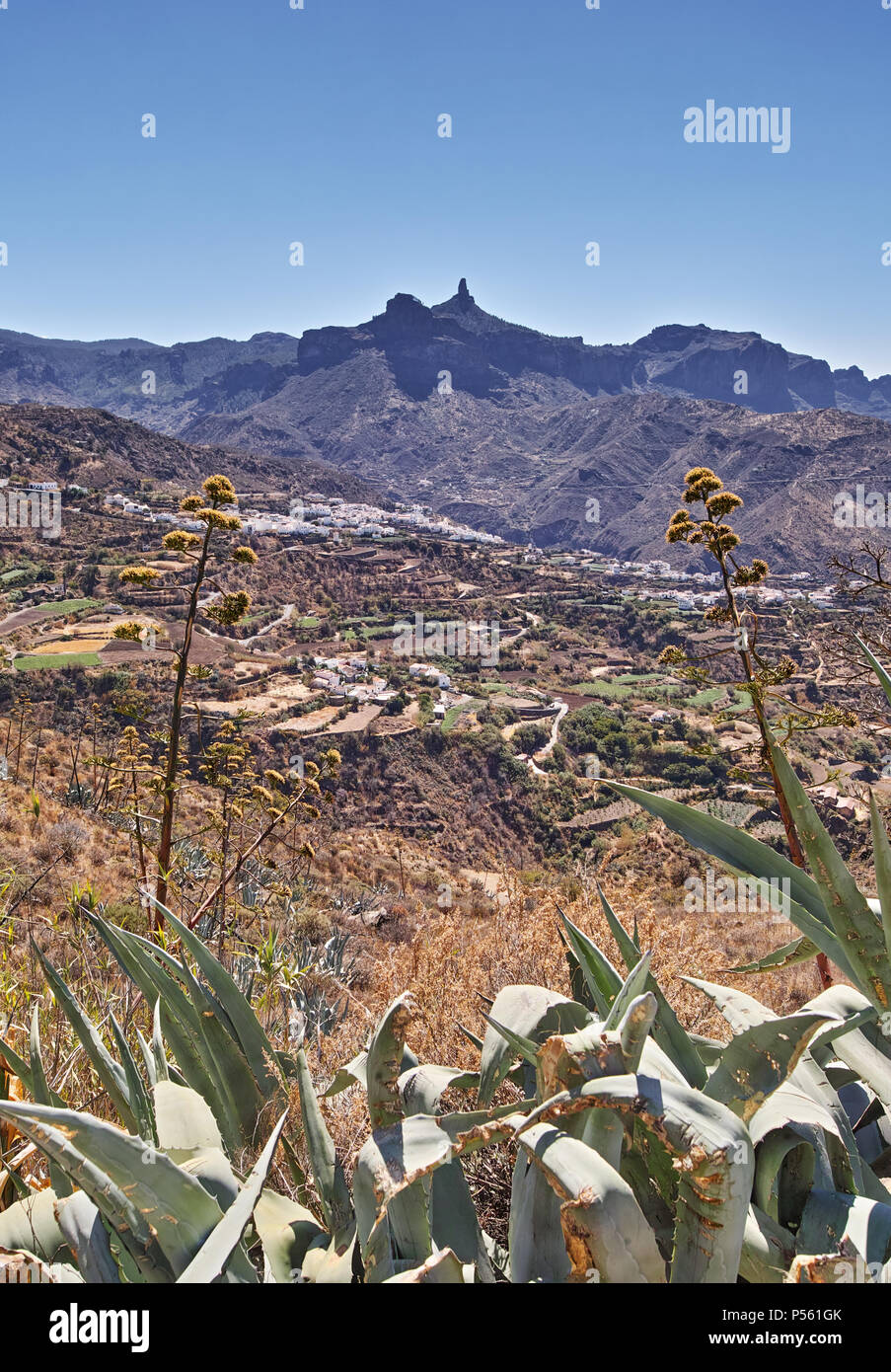 Gran Canaria Spagna Isola Foto Stock