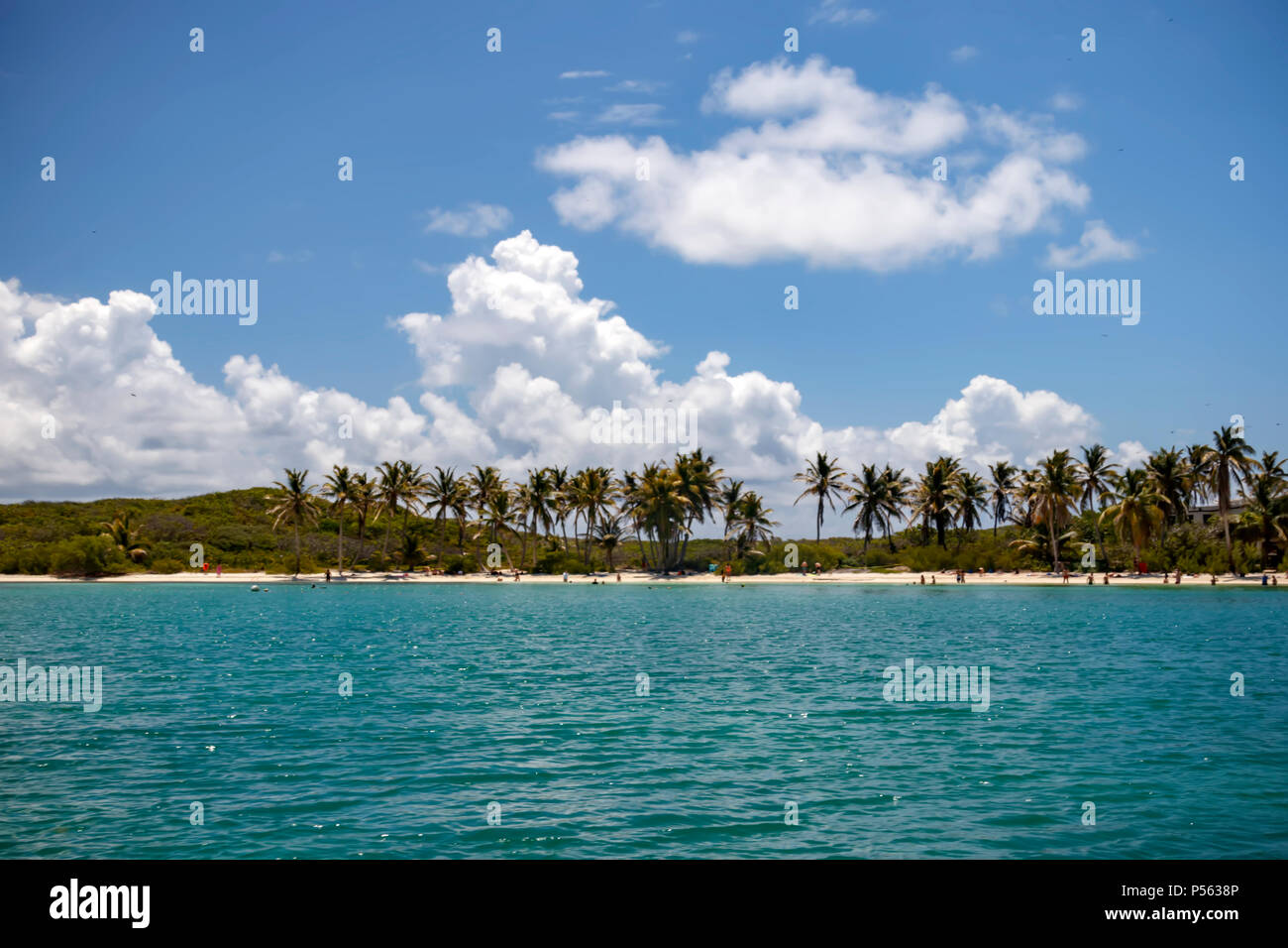 Vista dell'isola del paradiso di Contoy dal mare. Foto Stock