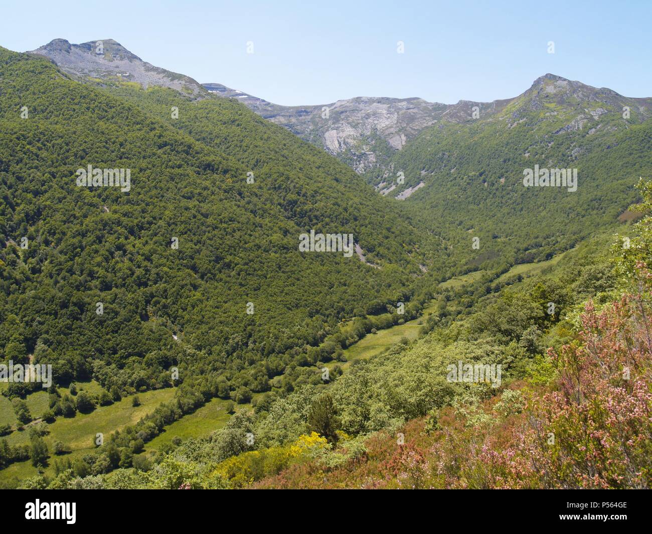 CASTILLA-LEON. PARQUE NATURAL DE LOS ANCARES. Provincia de León. Foto Stock