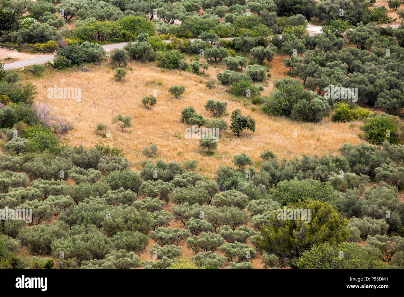 Vista panoramica sulla valle del Luberon dal famoso Les Baux de Provence borgo medievale nel sud della Francia Foto Stock