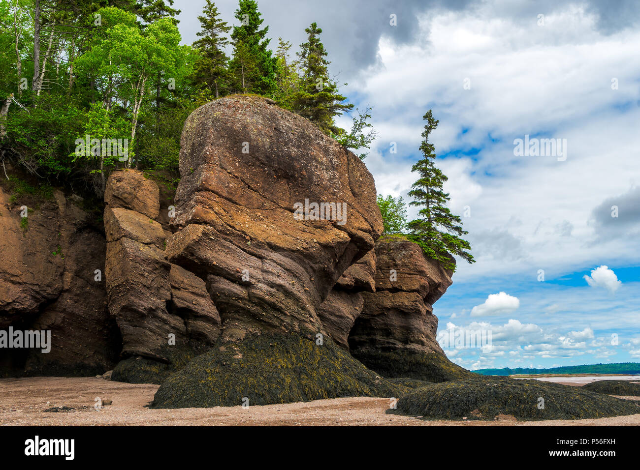 La Hopewell rocce noto anche come vaso rocce, lungo la baia di Fundy, New Brunswick, Canada. Foto Stock