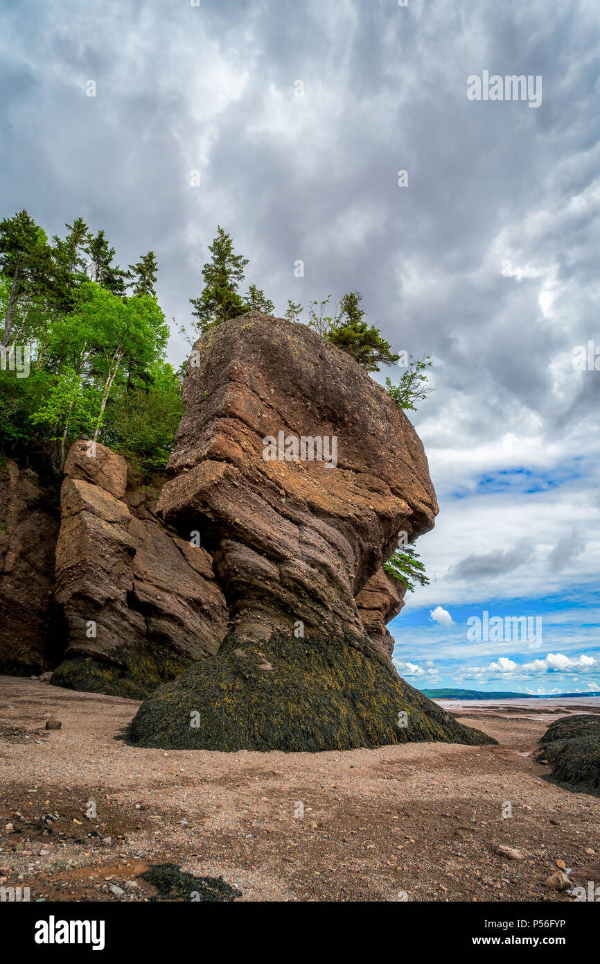 La Hopewell rocce noto anche come vaso rocce, lungo la baia di Fundy, New Brunswick, Canada. Foto Stock
