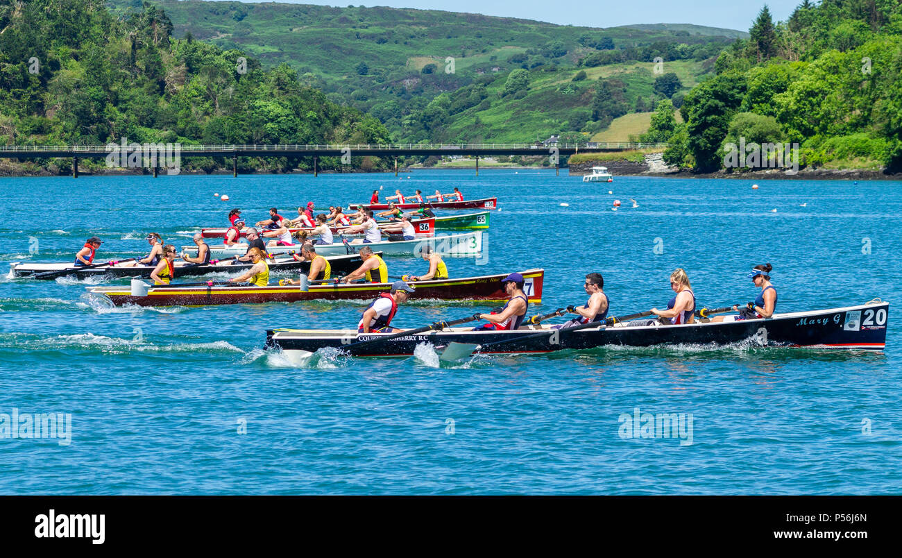Costiera regata di canottaggio in West Cork, Irlanda. Foto Stock