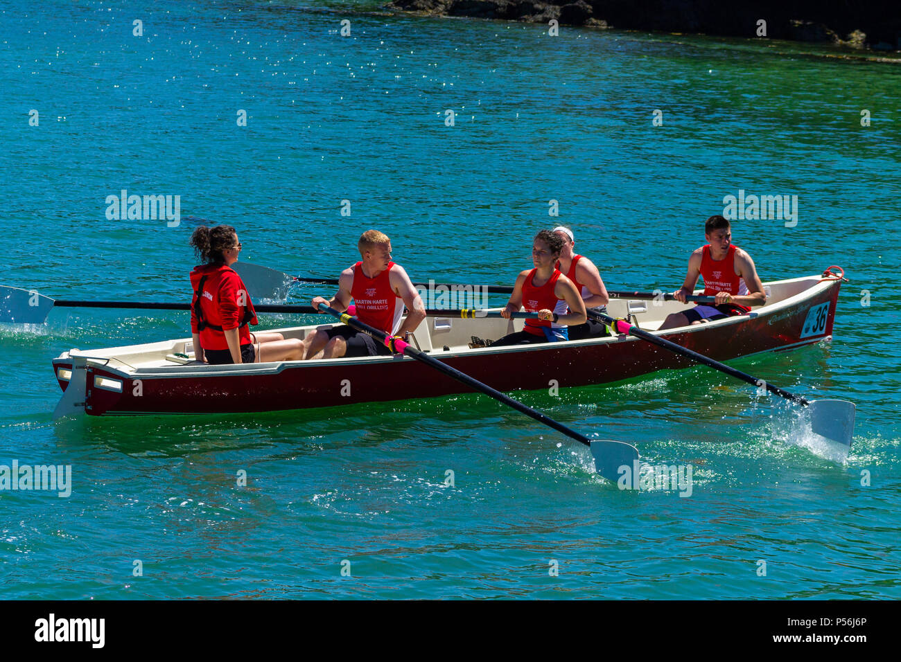 Costiera regata di canottaggio in West Cork, Irlanda. Foto Stock