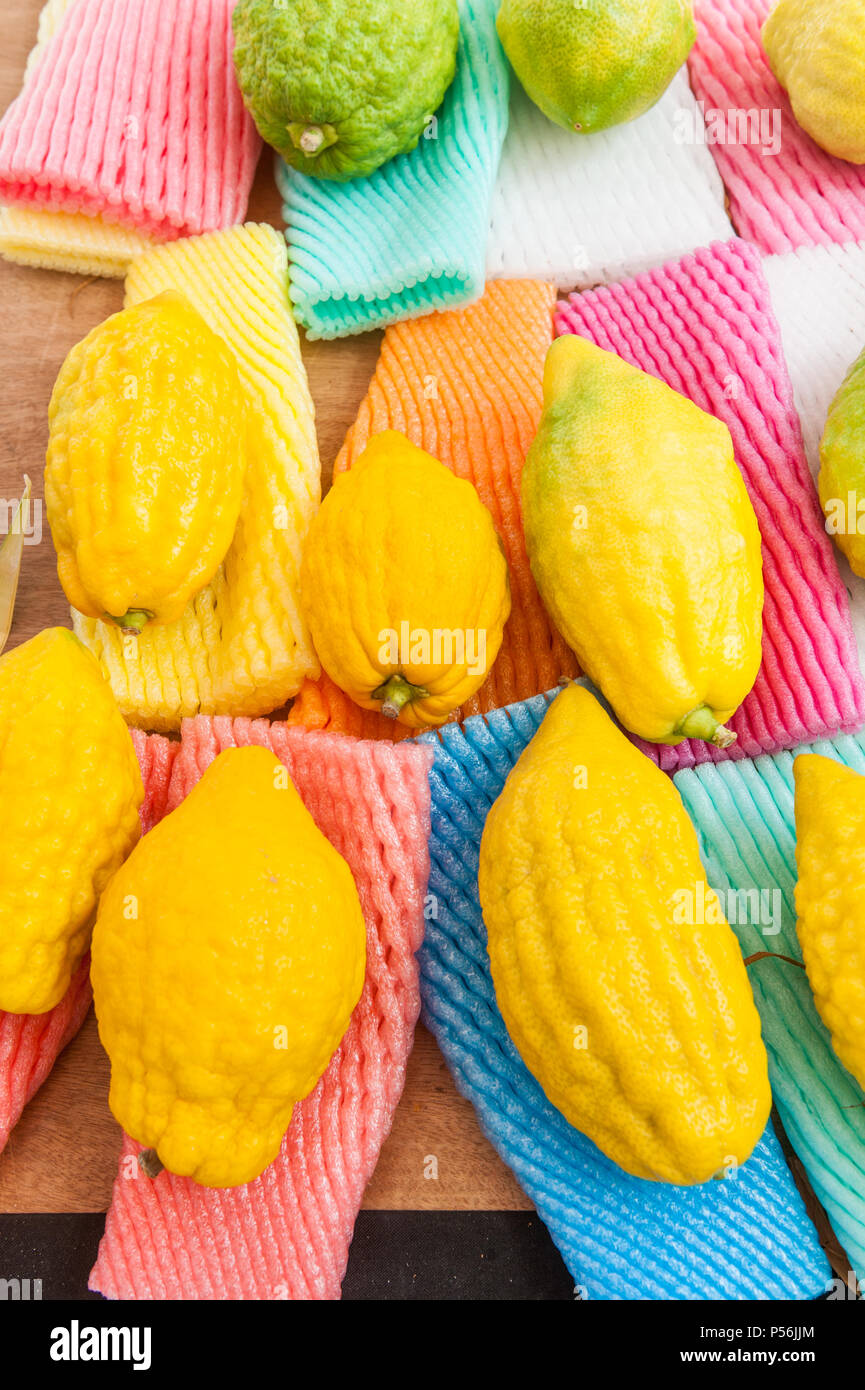 Israele, Tel Aviv - 16 Ottobre 2016: Etrog venduti al mercato sukkot su Kikar Rabin square Foto Stock